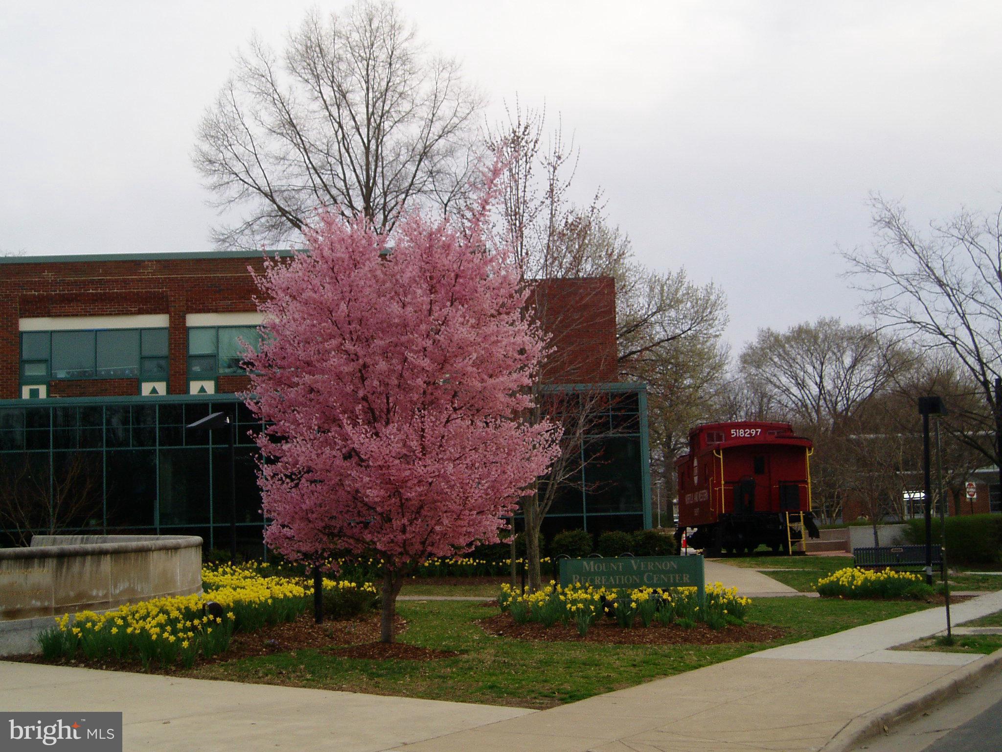 OAK CLUSTER - Residential Lease