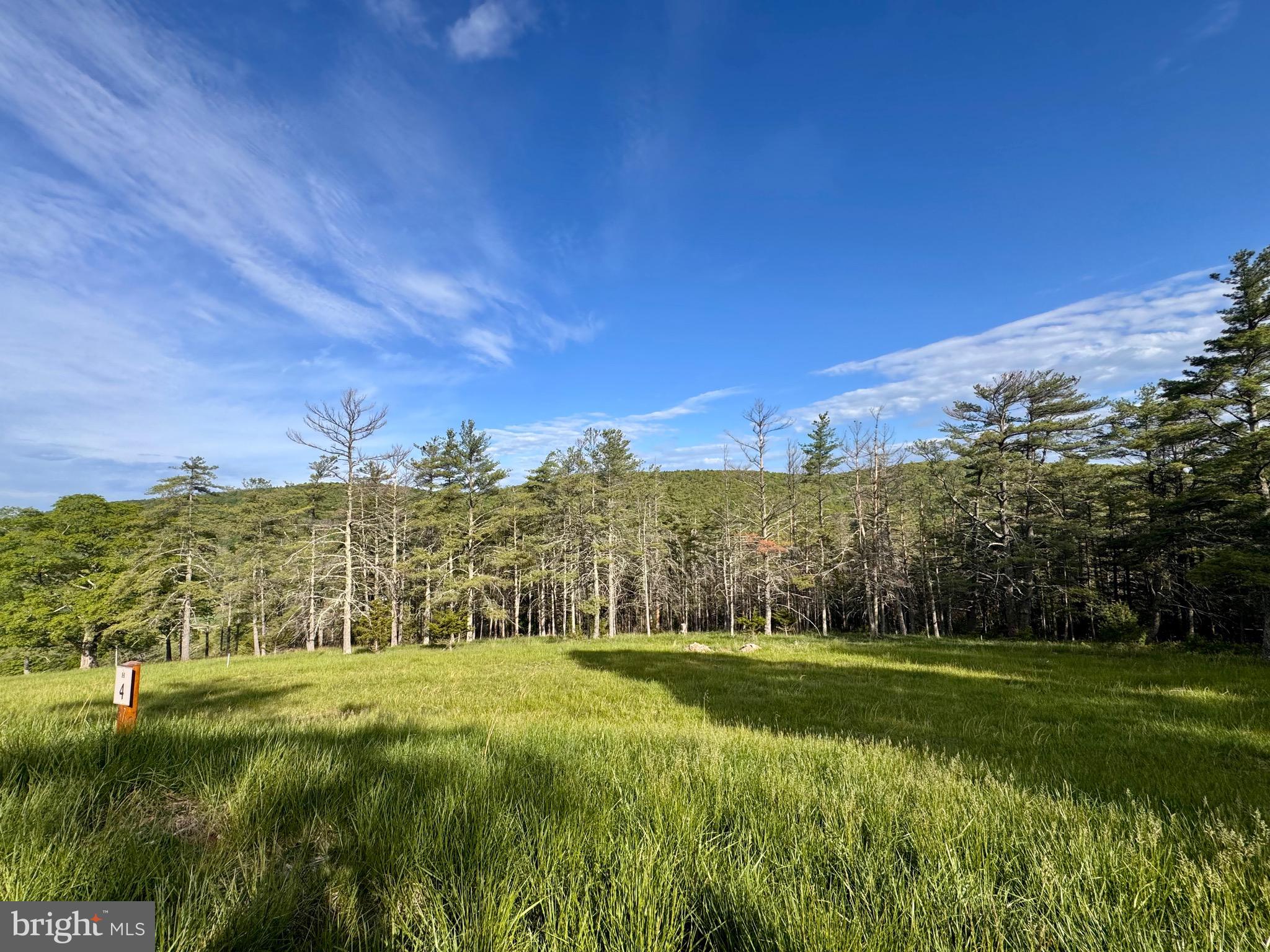 You choice: an amazing investment opportunity or the perfect picturesque lot to build the home of your dreams in the Potomac Highlands in Franklin, WV! Nestled in the Fisher Mountain development is the Northridge subdivision where this Lot, a stunning 2.6-acre property offering panoramic sunset views of the surrounding mountains and golf course. With its gentle slope and multiple building sites, this lot is poised to become a prized possession for use or investment for its future owner. Fisher Mountain residents can take advantage of a range of amenities, including dining and entertainment options at the Ancient Oak Kitchen, a TopTracer driving range, and an 18-hole golf course, as well as a forthcoming bar addition at the TopTracer. Call for a private property tour.