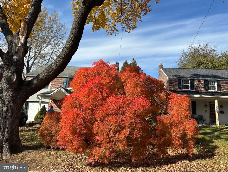 LYNNWOOD - Residential