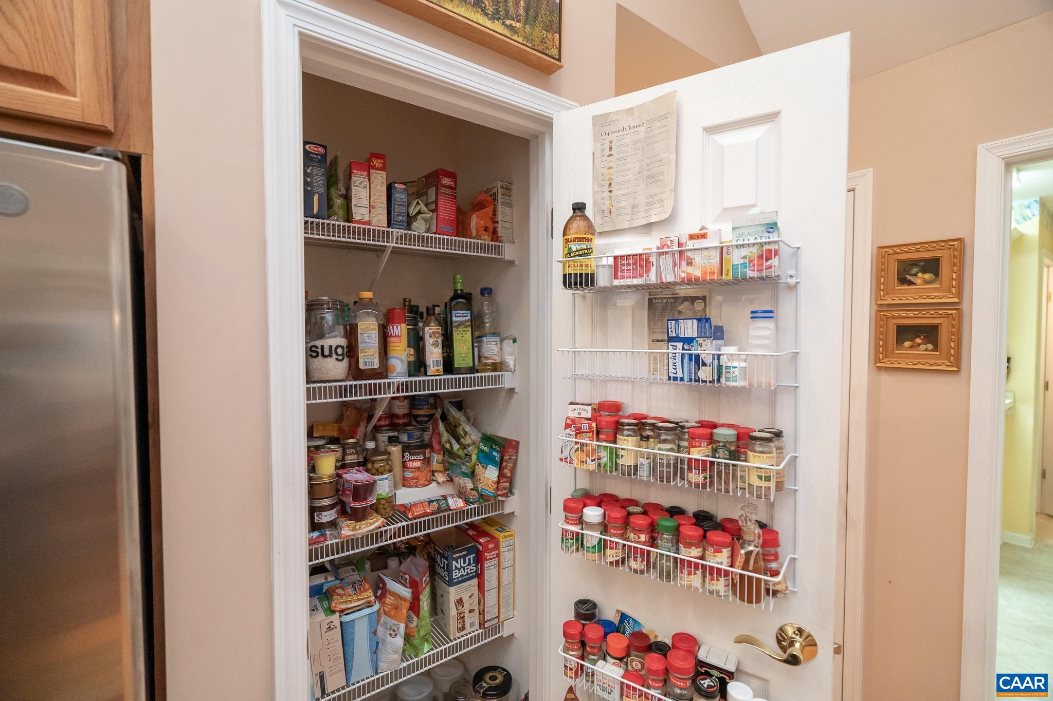 LAKE MONTICELLO - Residential