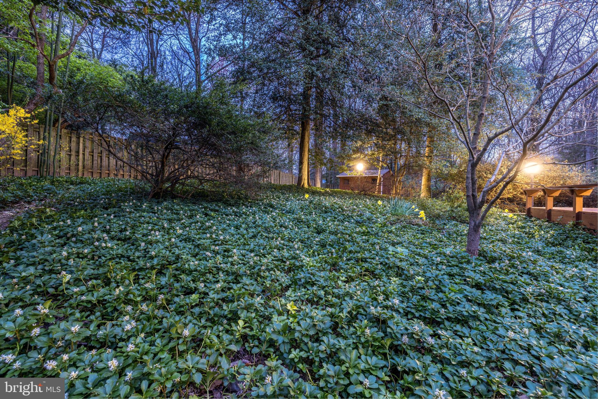 CARDEROCK SPRINGS - Residential