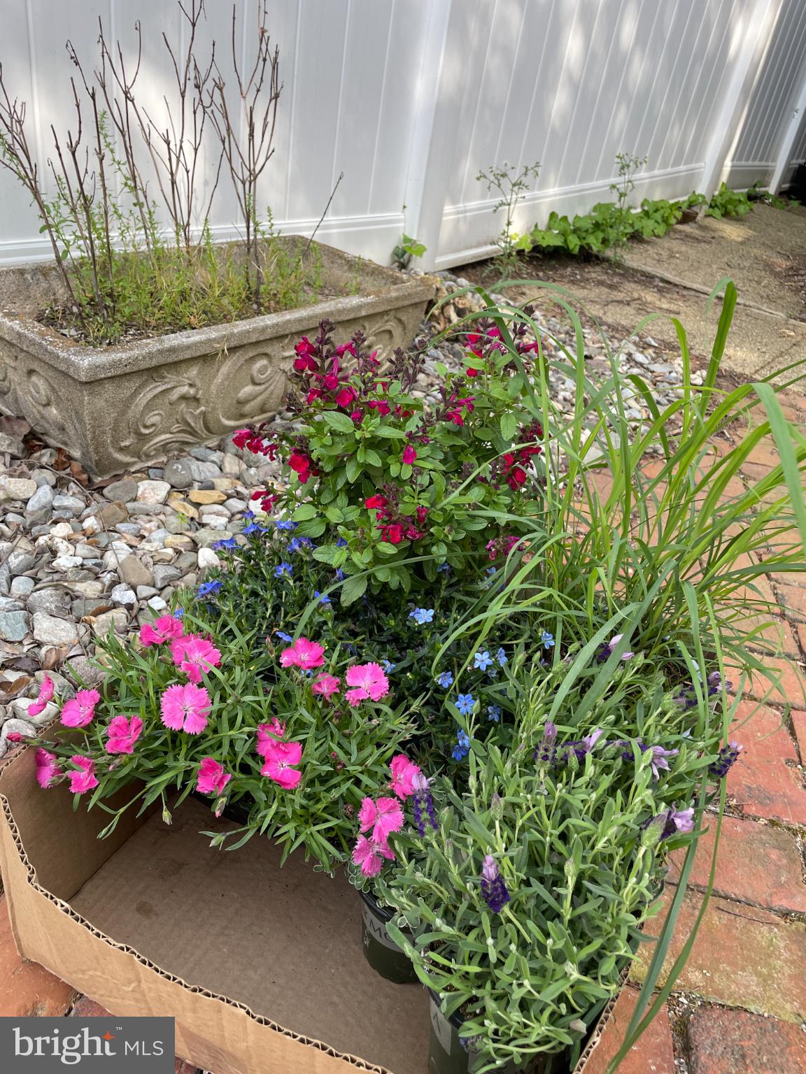 TROLLEY SQUARE - Residential