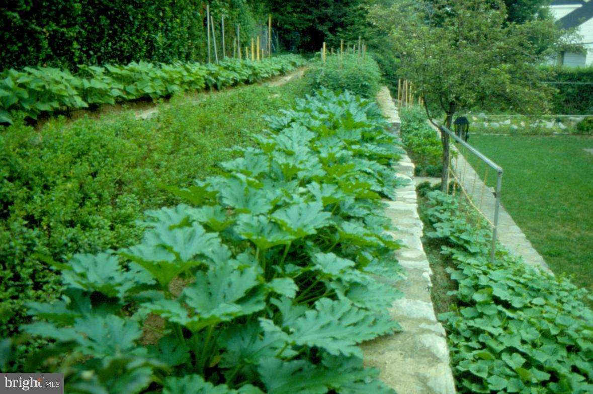 PADDOCK FARMS - Residential