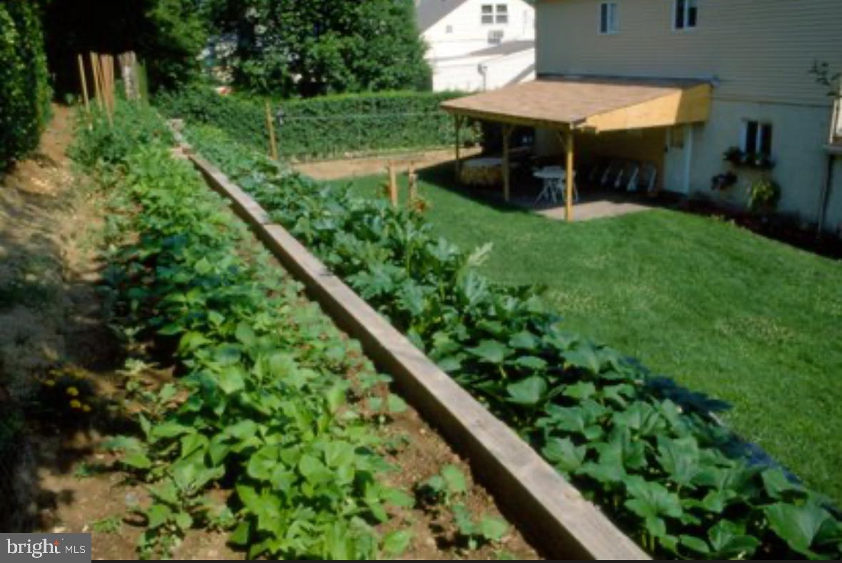 PADDOCK FARMS - Residential