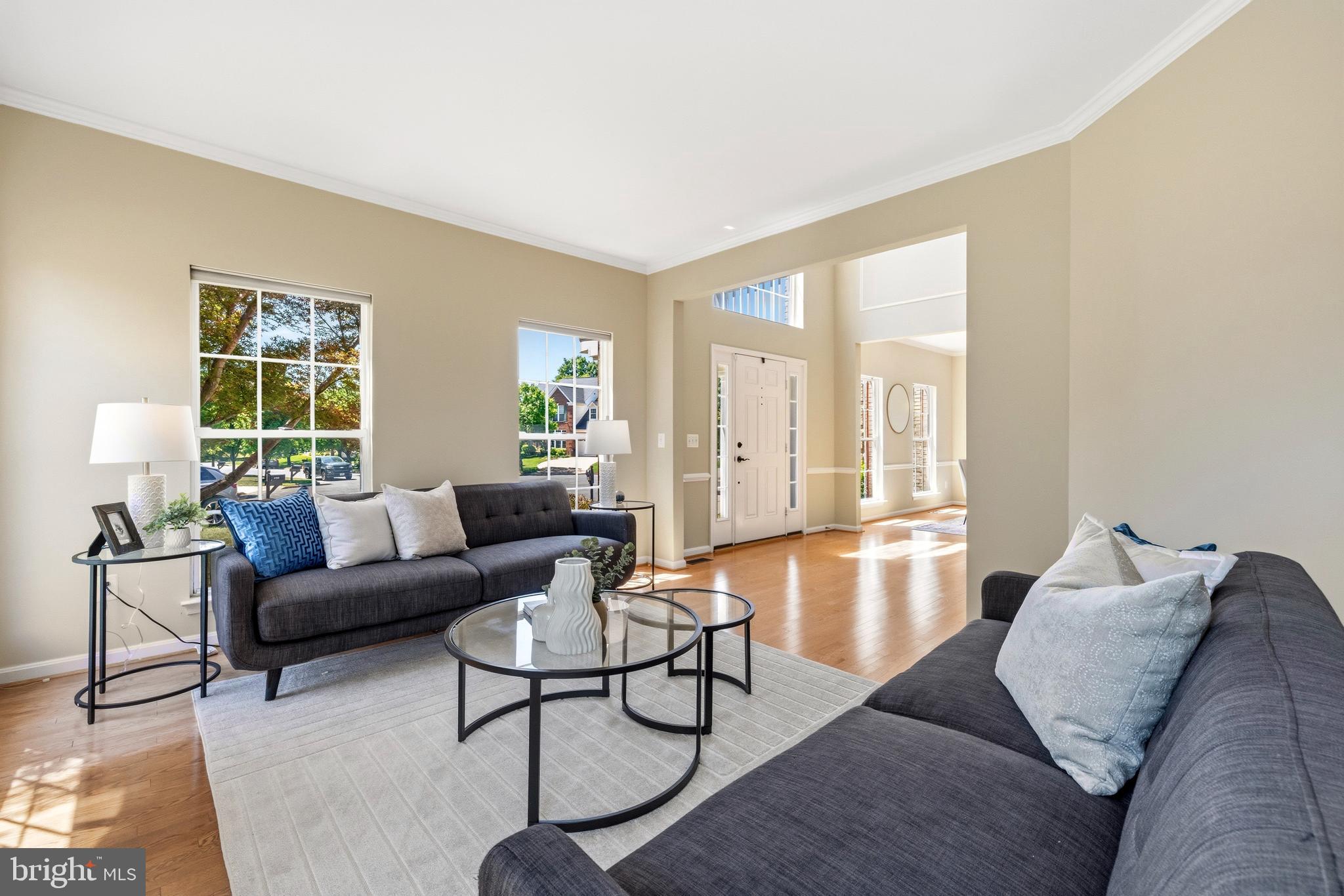 REGENCY AT ASHBURN - Residential