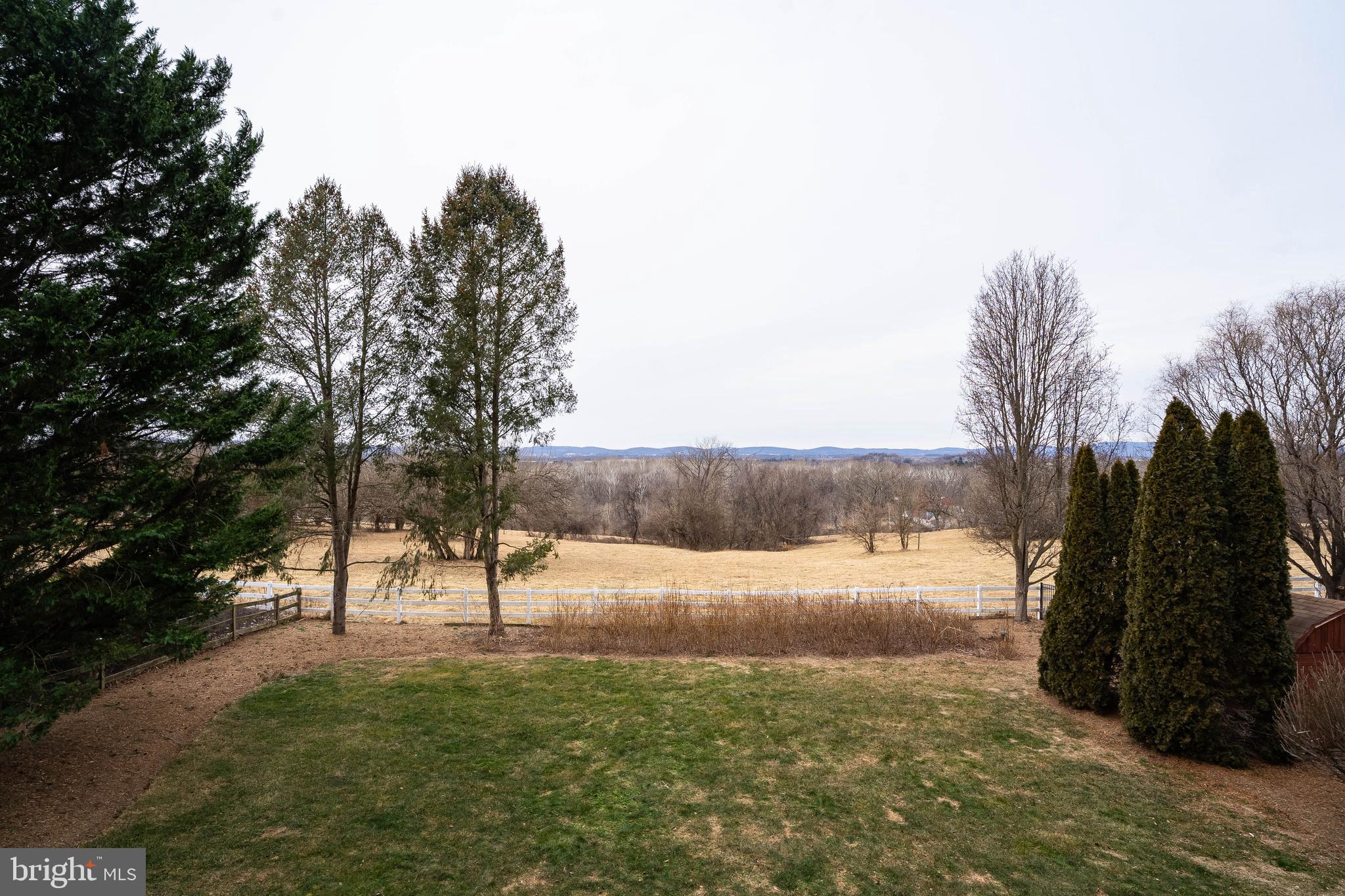 BUCKINGHAM HILLS - Residential