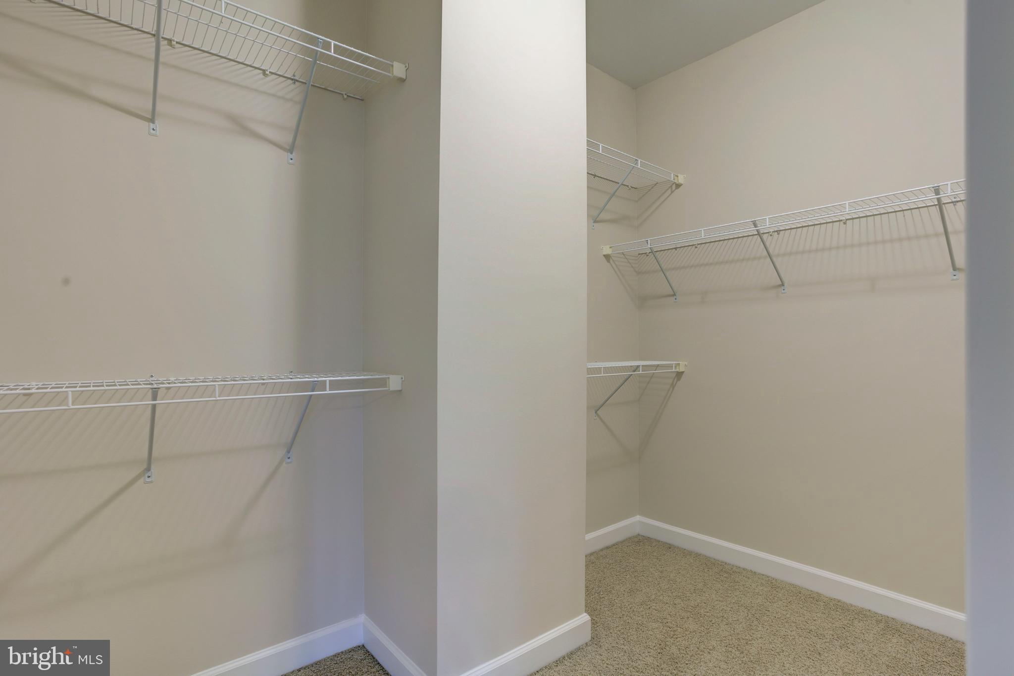 AVONLEA - Residential Lease