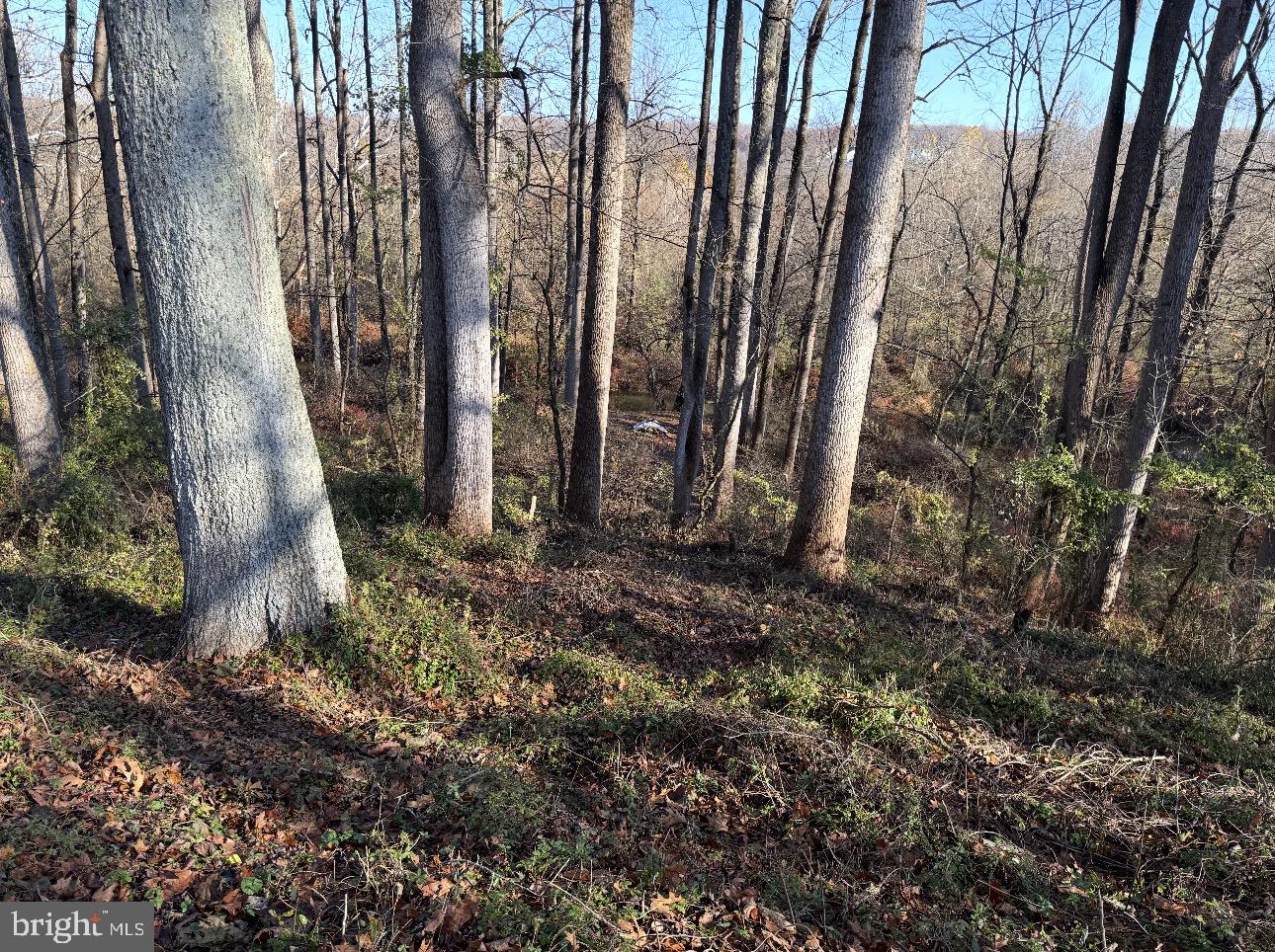 OLNEY OUTSIDE - Residential