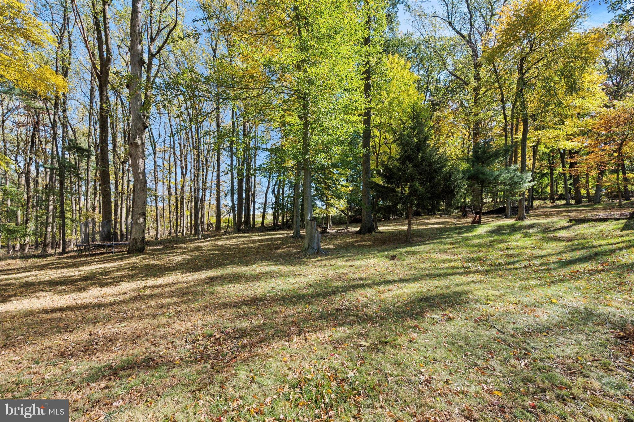 COLLEGE PARK - Residential