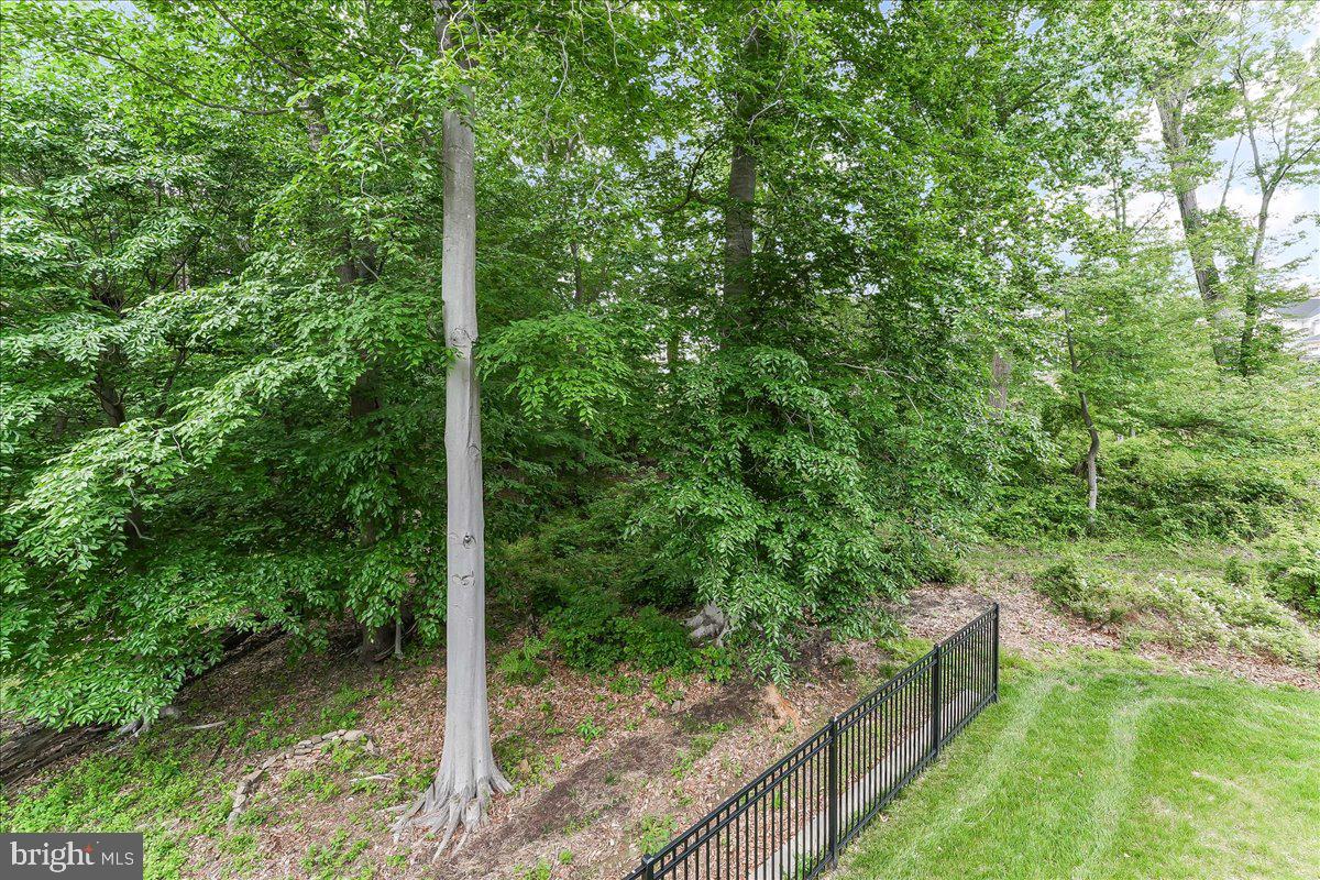 PONDS EDGE - Residential