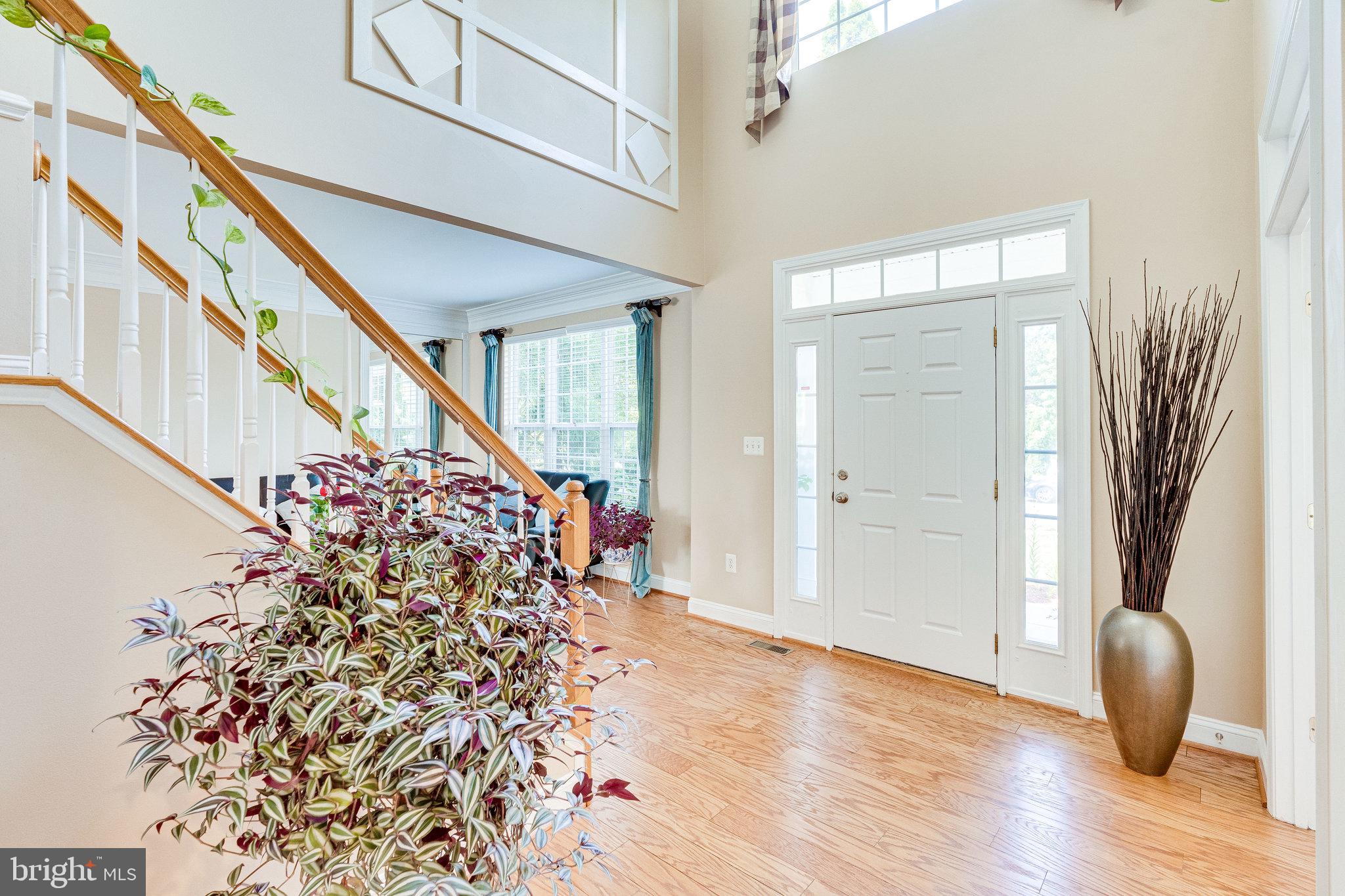 BLUE SPRING FARM - Residential