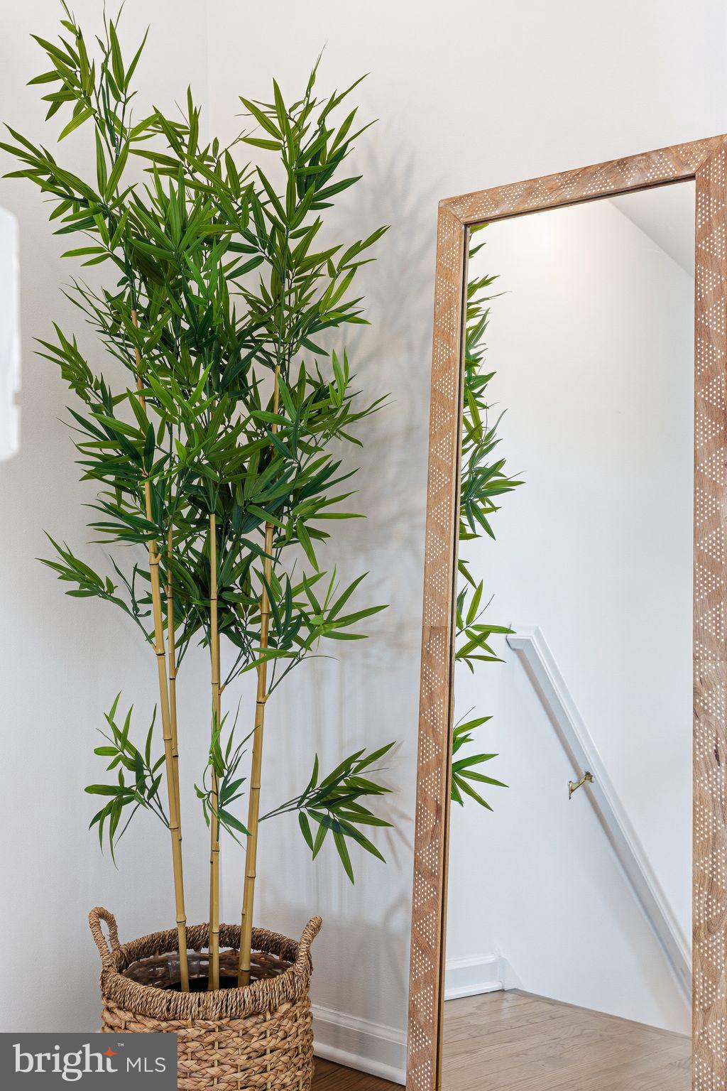 ART MUSEUM AREA - Residential