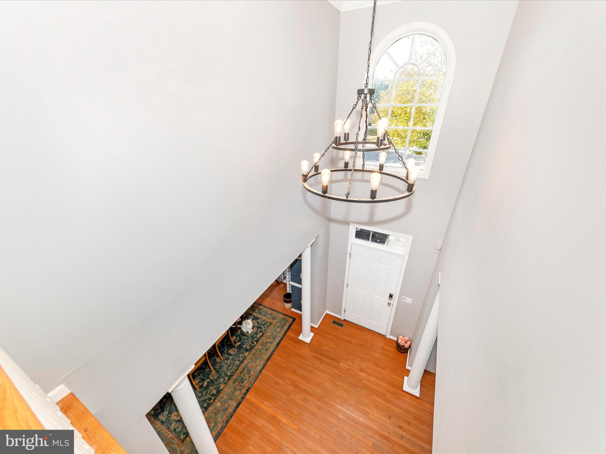 NEW TOWN MEADOWS - Residential