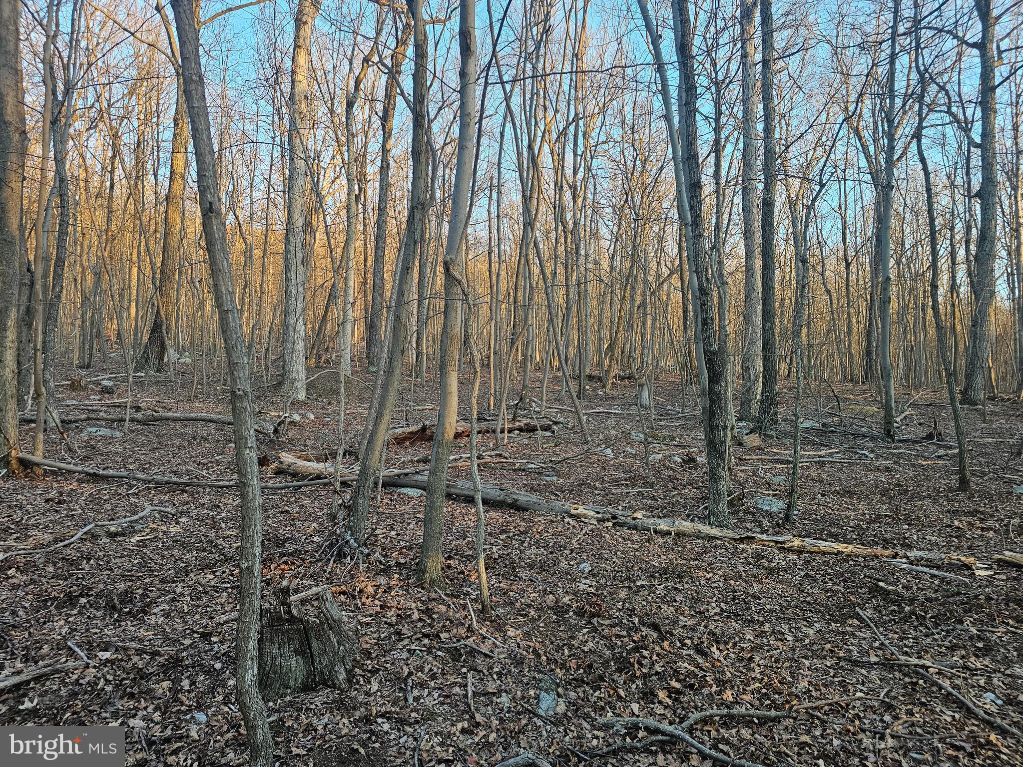 NONE AVAILABLE - Land