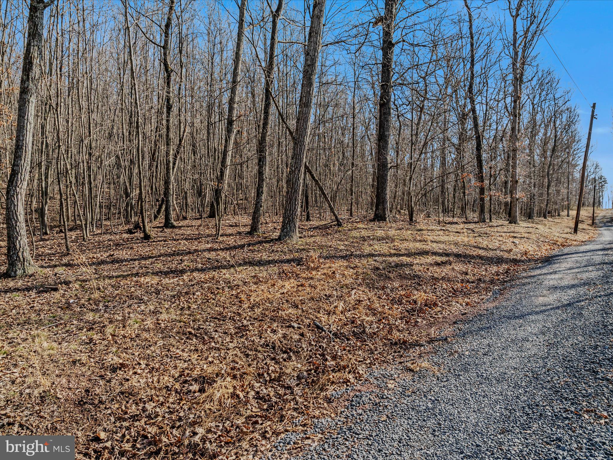 NONE AVAILABLE - Land