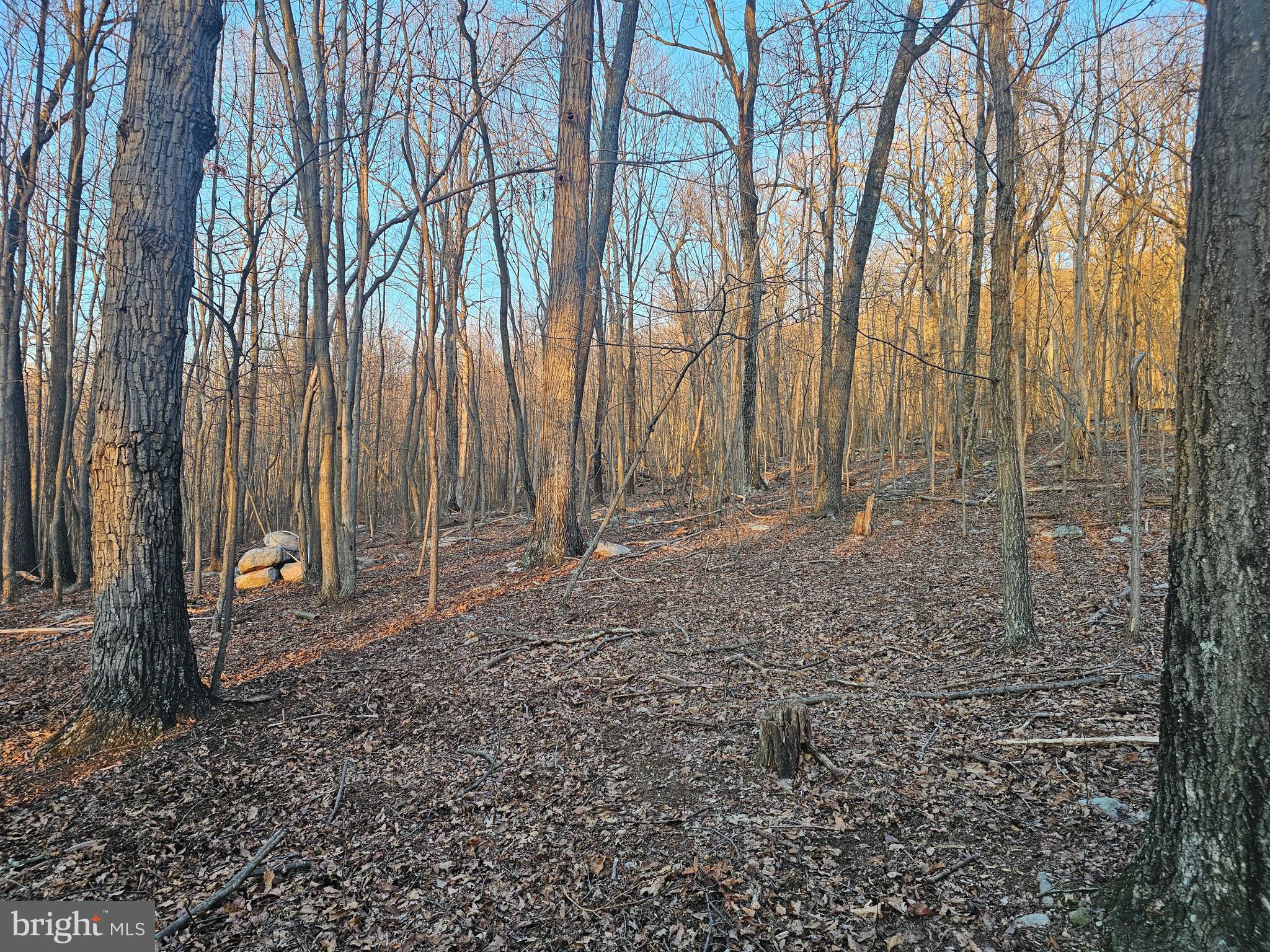 NONE AVAILABLE - Land