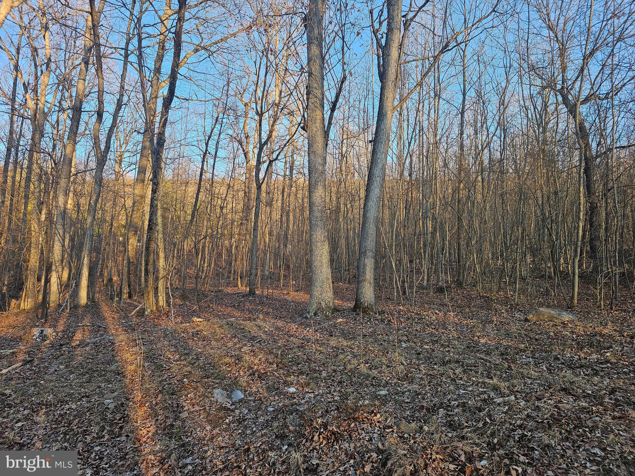 NONE AVAILABLE - Land