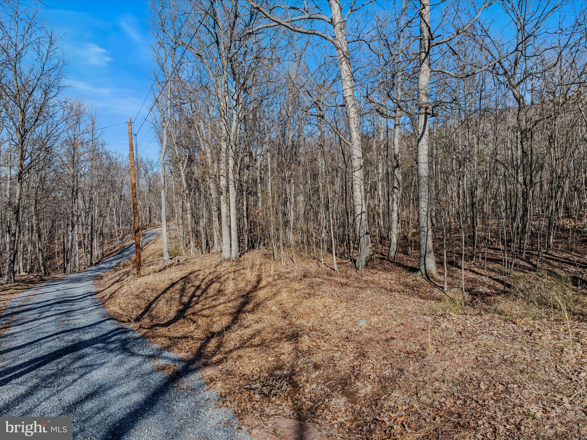 RESIDENTIAL or RECREATIONAL: looking to build your dream home or looking for a place to just get away from it all, this 3.5 wooded acres adjoining the 22,000+ acres of Sleepy Creek Wildlife Management Area could be the place for you. With some planning you may be able to get a great mountain view from your home or you can surround yourself with nothing but woods. Enjoy an abundance of wildlife on this property. This can be the nature lover paradise or the hunter's paradise. Take your pick. Property does have a camper & carport that convey. This property is approximately 15 minutes from the town of Berkeley Springs/Bath. This property only has 2 restrictions. See Deed for restrictions. Don't hesitate, this one could go fast. Adjoining 5.42 acre lot also available.