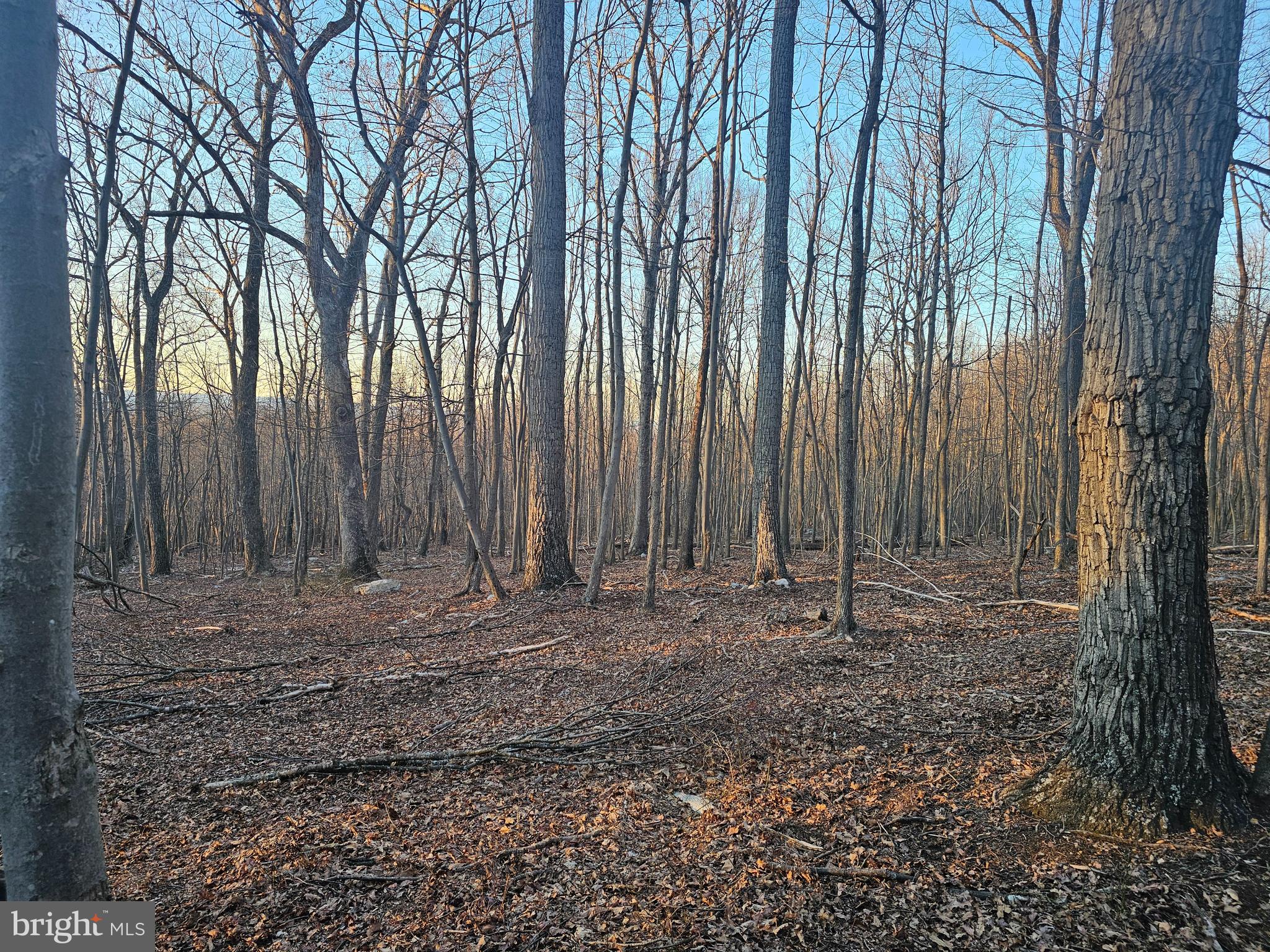 NONE AVAILABLE - Land