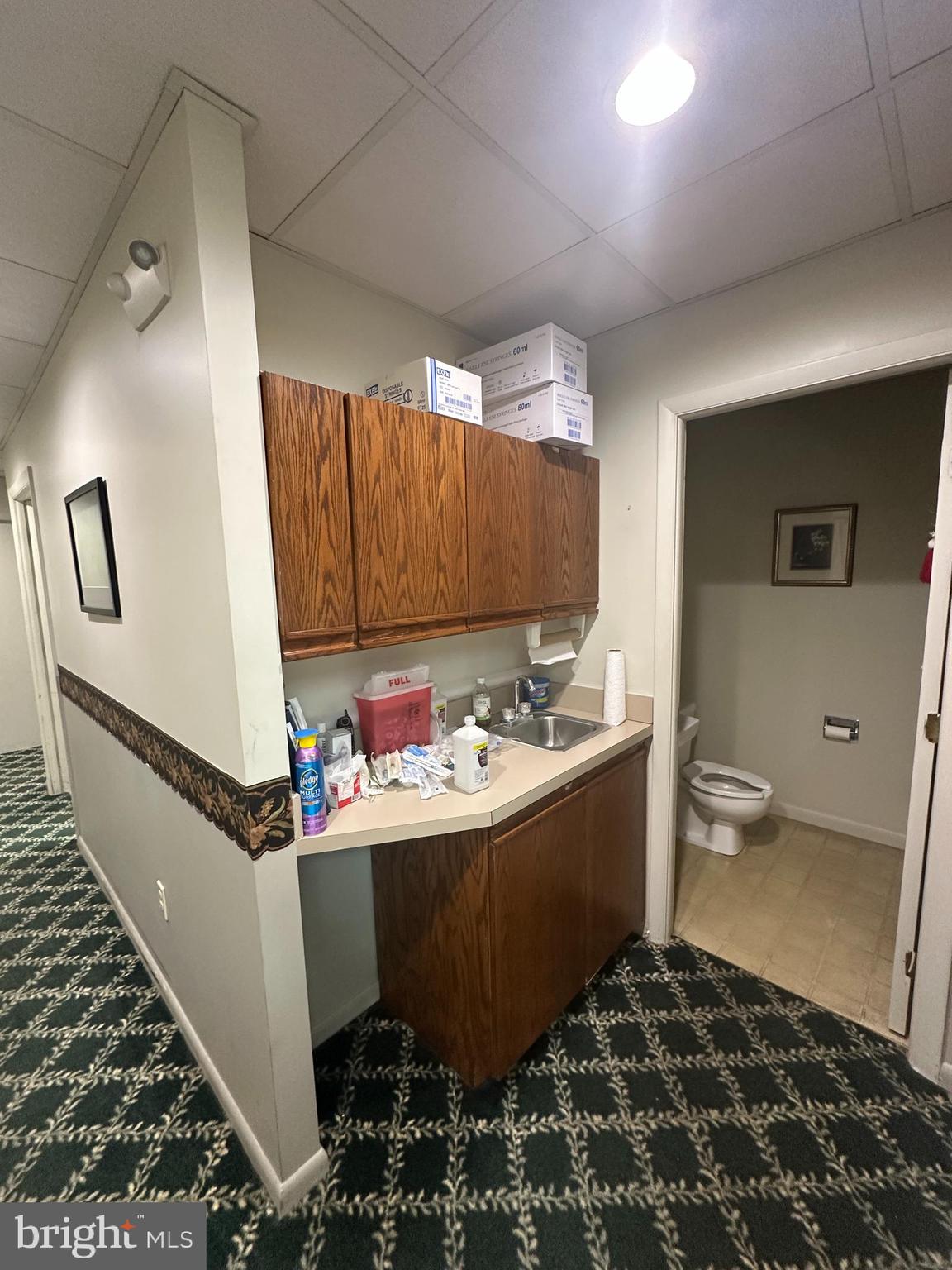 Main image without alt text