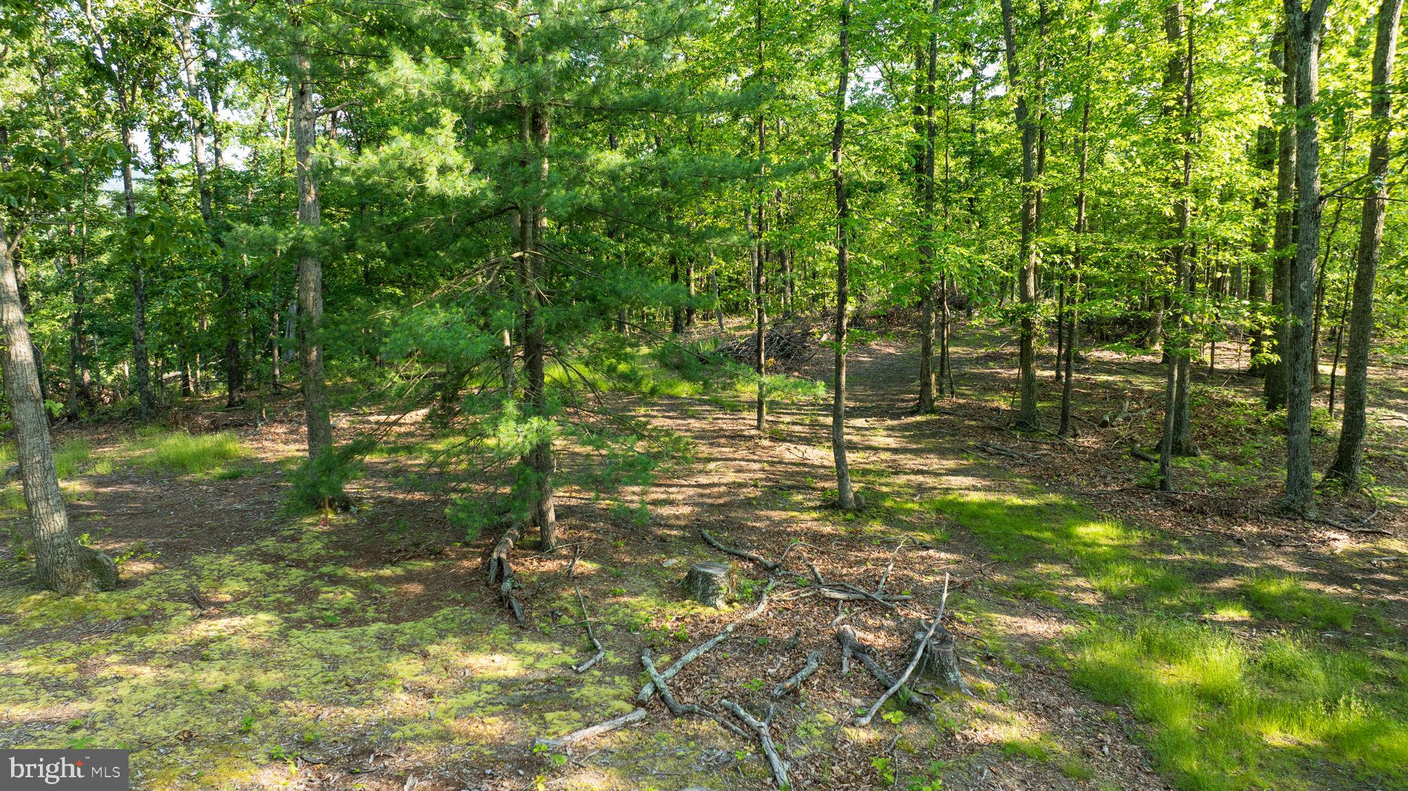 Lot A SAW MILL ROAD
