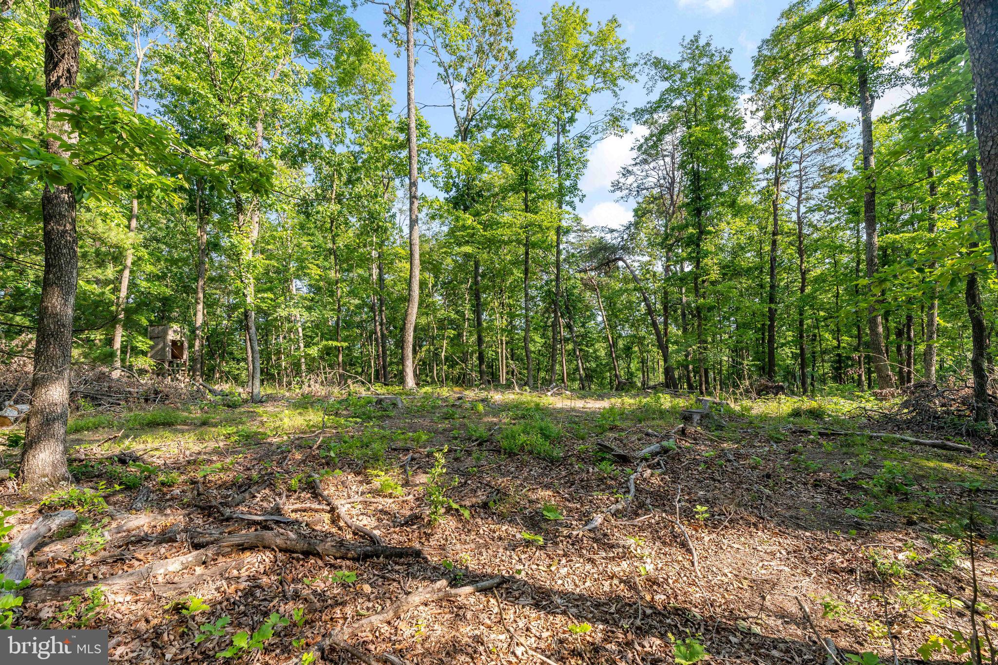 Lot A SAW MILL ROAD