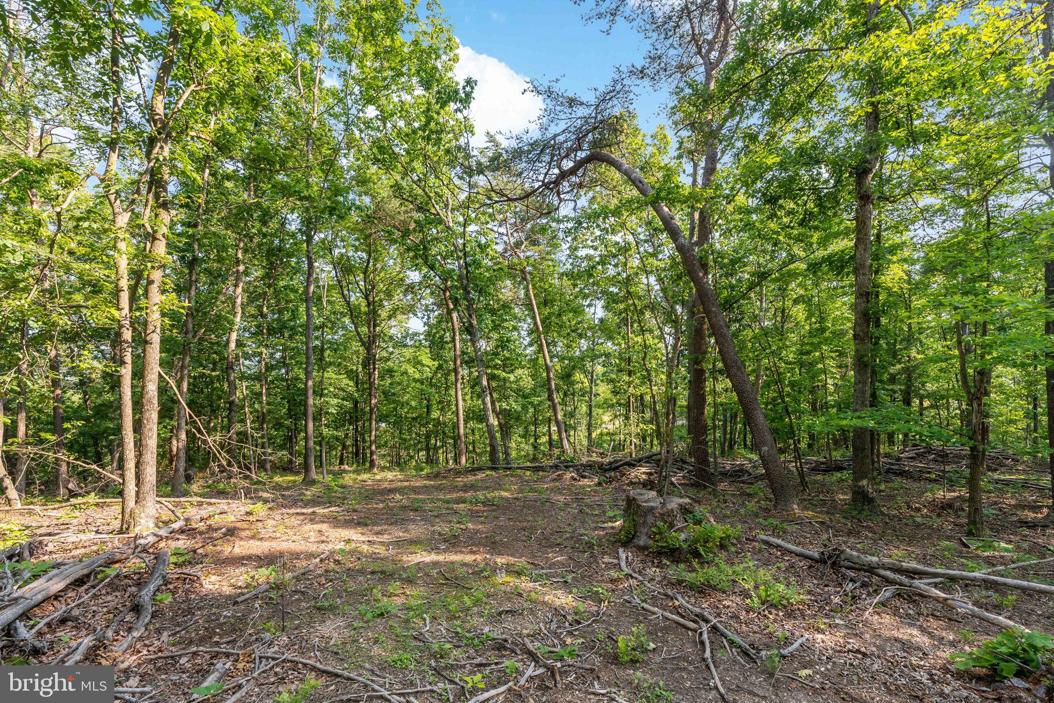 Lot A SAW MILL ROAD