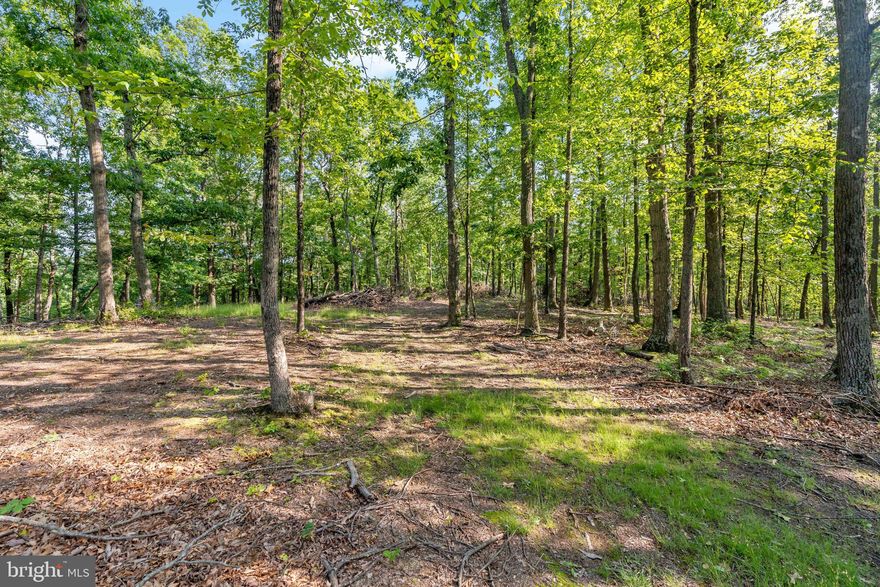 Discover the perfect setting for your dream home on this beautiful 9.28-acre lot located on Saw Mill Rd in Glen Gary (Hedgesville, WV). This secluded property offers privacy, stunning mountain views, and a peaceful, wooded atmosphere with trees already partially cleared—ready for your custom build. Recent perc test completed and approved! Whether you’re looking for a full-time residence or a weekend escape, this property has all the right elements. Don’t miss out on this slice of Almost Heaven! Property features a perk approval for a 3-bedroom conventional septic system. Reliable, clean water supply with no known issues. Electric service lines conveniently run along the driveway for easy connection.