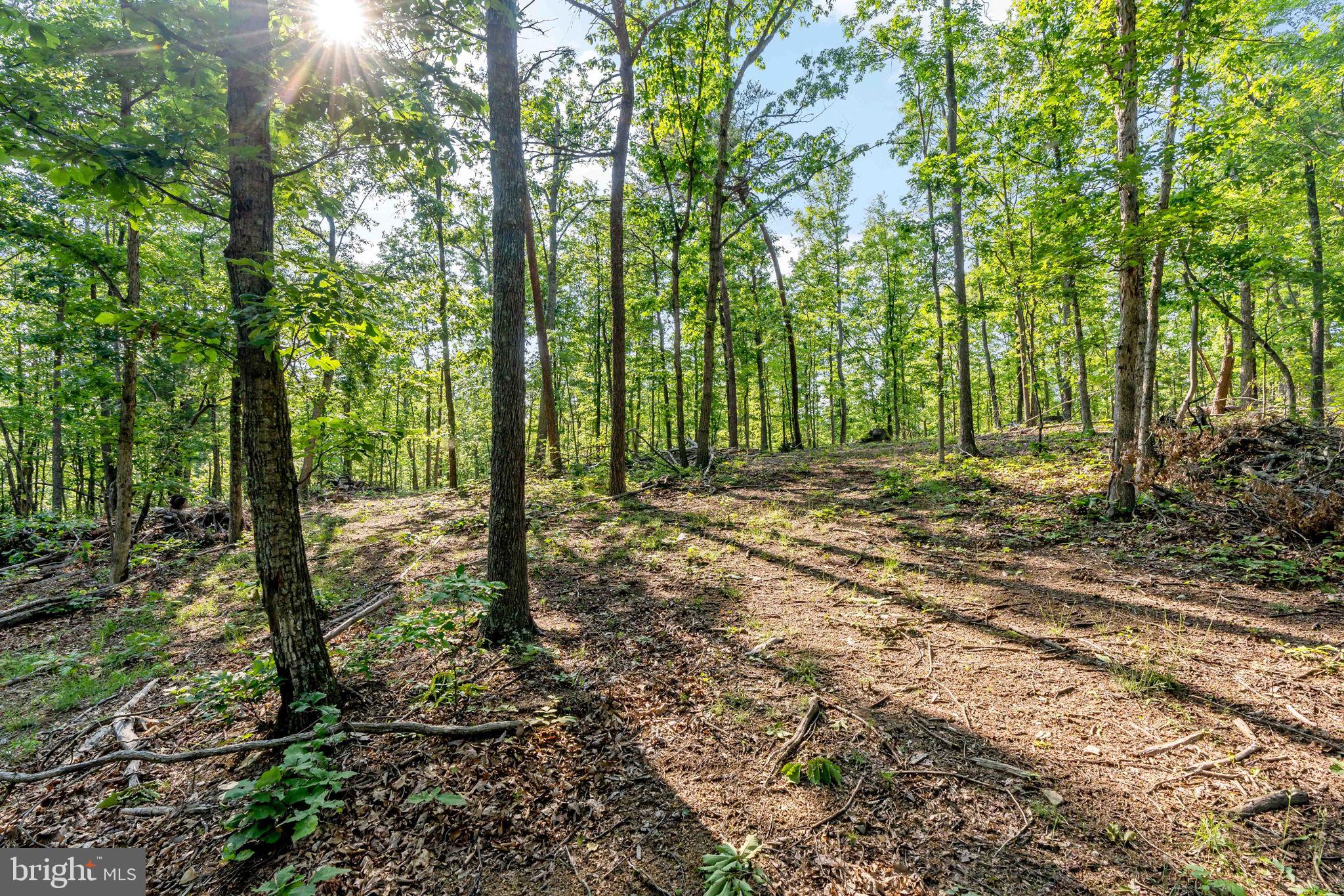 Lot A SAW MILL ROAD