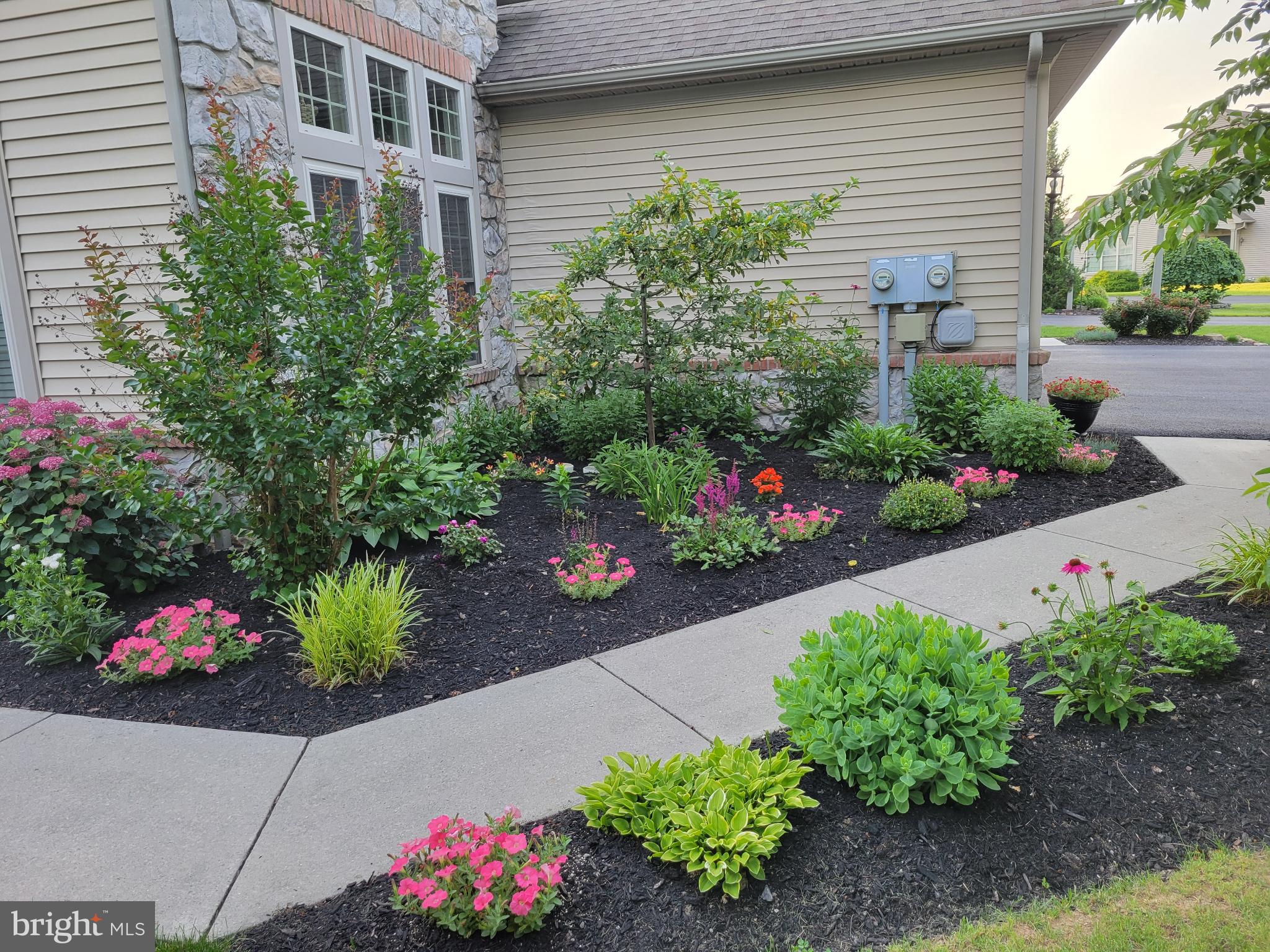 805 BRIAR EDGE COURT