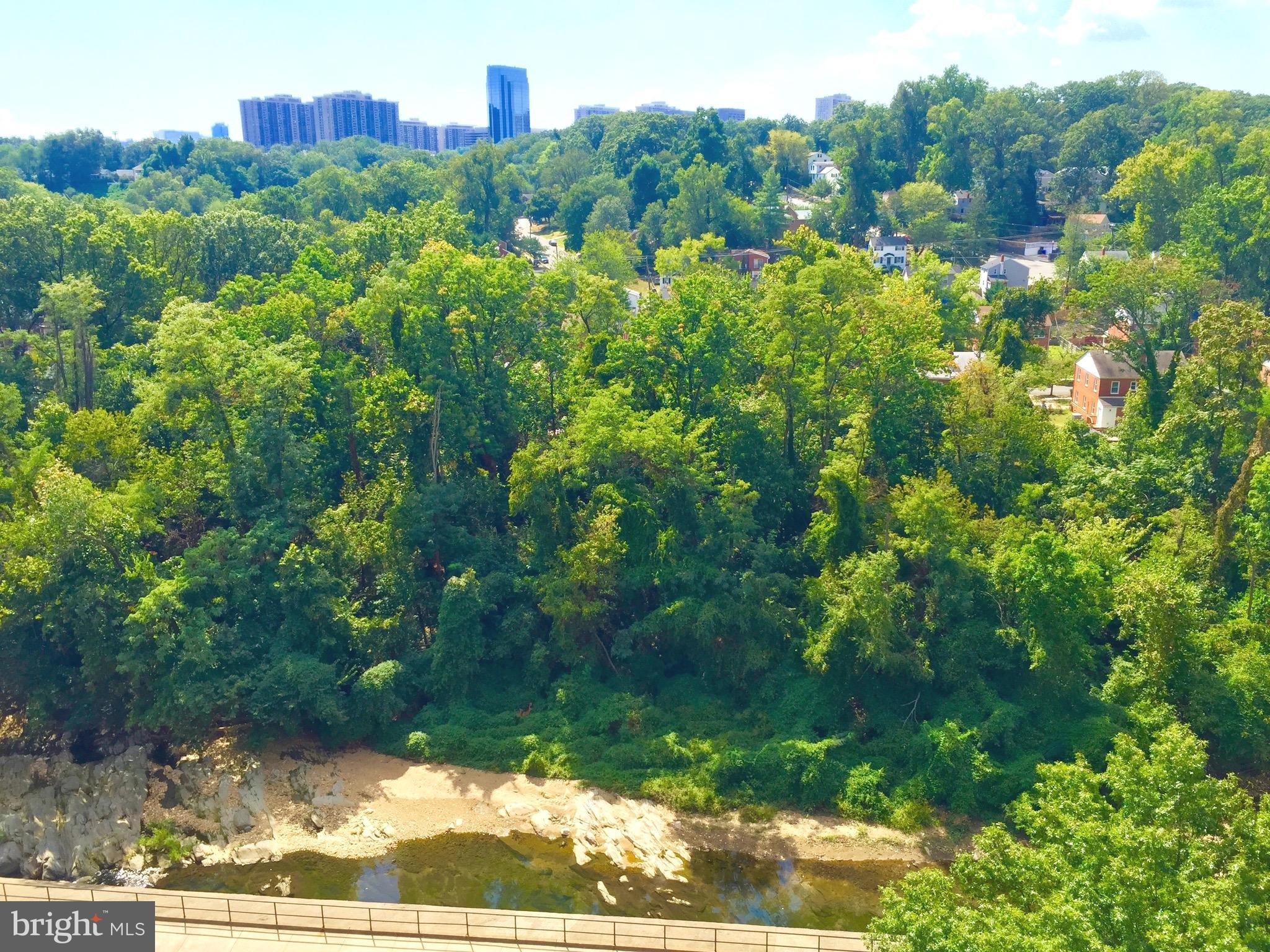 THE CARLTON - Residential Lease