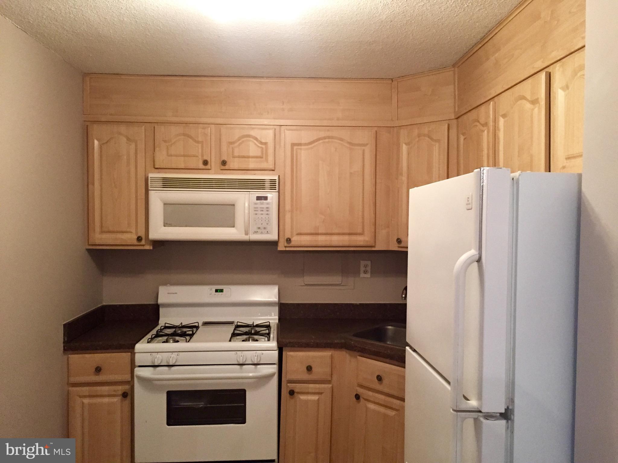 THE CARLTON - Residential Lease