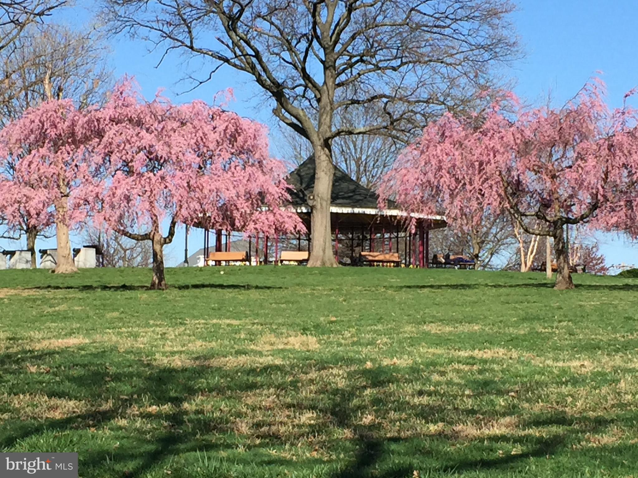 FEDERAL HILL HISTORIC DISTRICT - Residential Lease