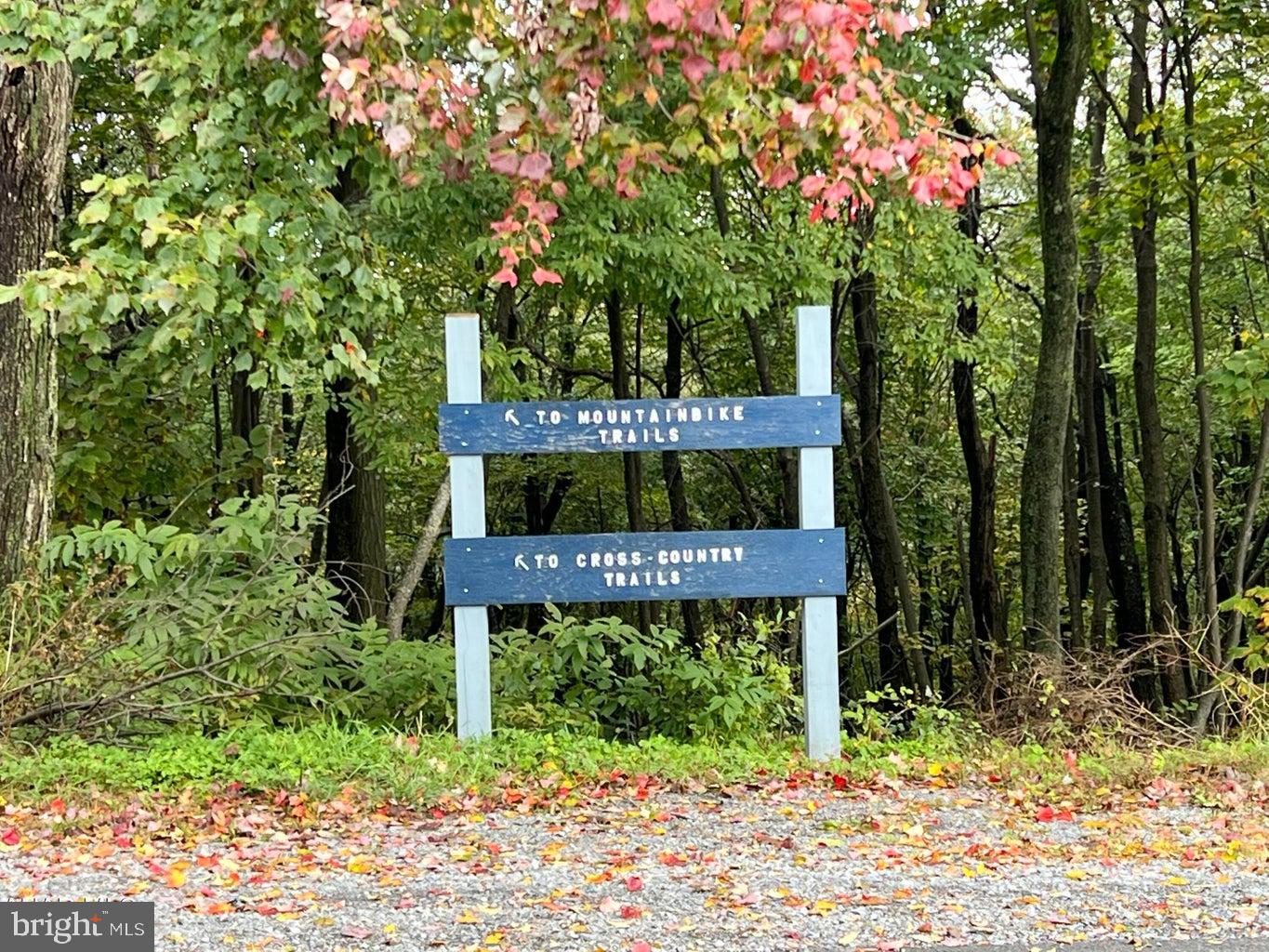 BLUE KNOB ALL SEASONS RESORT - Residential