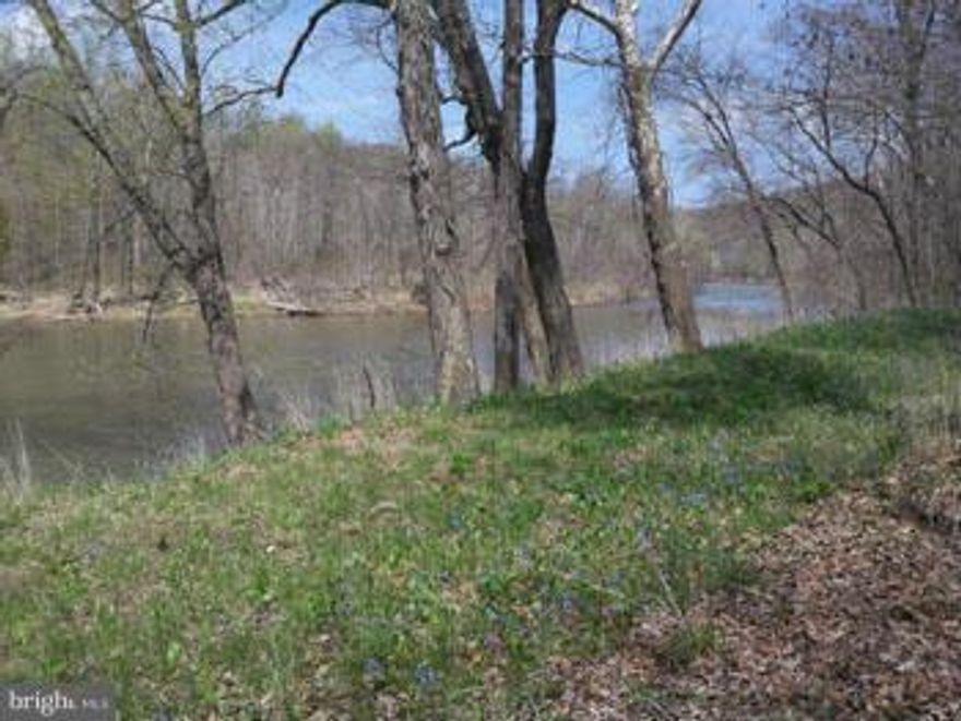 Prime Cacapon River Waterfront.. A gentle slope and open ground will greet you when arriving on your 3.68 acre parcel with 455 feet of river frontage. Property has buildable area out of the 100 year flood plain as well. This is the perfect place to build that dream home and get away from it all!