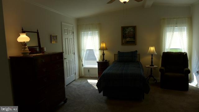 WINDY BRAE MHP - Residential