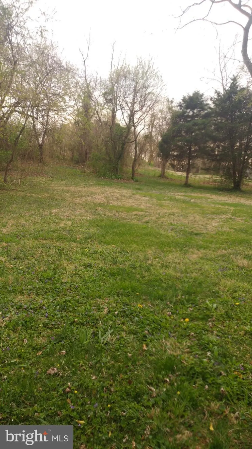 Bradbury Avenue, Smithsburg, MD 21783