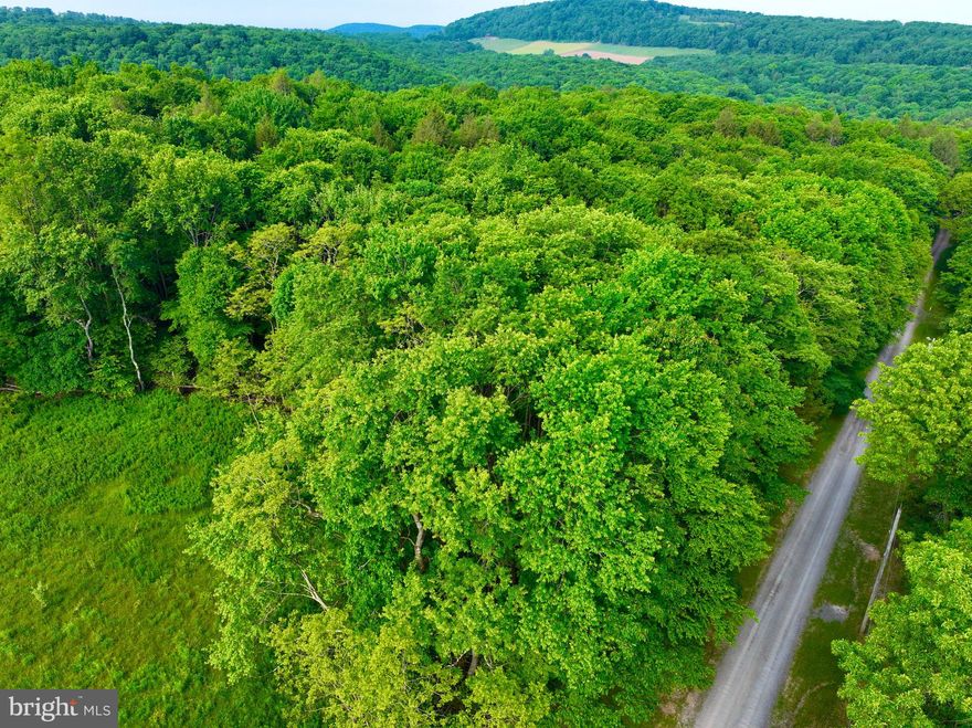 Welcome to the Meadow Hill subdivision of Grantsville, MD. We are pleased to present to you an incredible property opportunity. This 6.93-acre land located in the heart of the subdivision is mostly wooded and offers a perfect blend of privacy and convenience with the potential to build your dream home! Also included in the sale are Lot 56 (1205009863) and Lot 57 (1205009871).

Lots 56 & 57 have an approved perc on each lot. The seller is also merging Lots 55, 56 & 57 into one lot, providing you with a larger lot to build your dream home on.

This property is located just a few miles from I68 and is only 25 minutes from Uniontown, PA, 30 minutes from Morgantown, WV and 35 minutes to Cumberland, MD. This location offers easy access to nearby cities while still being nestled in a tranquil and serene environment.

Don't miss your chance to own this incredible piece of land in the Meadow Hill subdivision. Contact us today to schedule a tour and make this land your own.