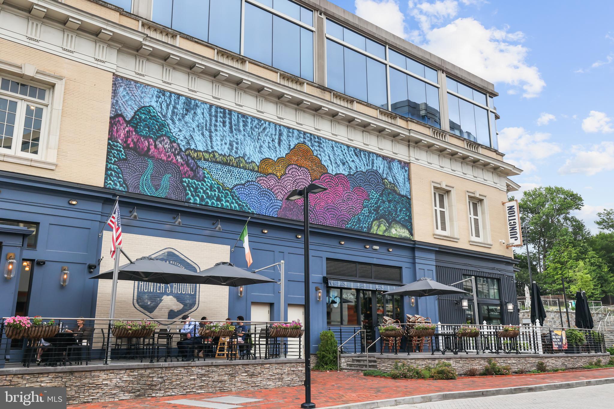 CHEVY CHASE TERRACE - Residential