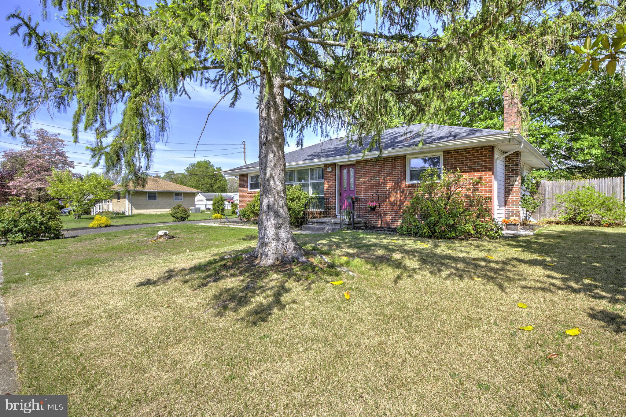 113 ELLIS AVENUE