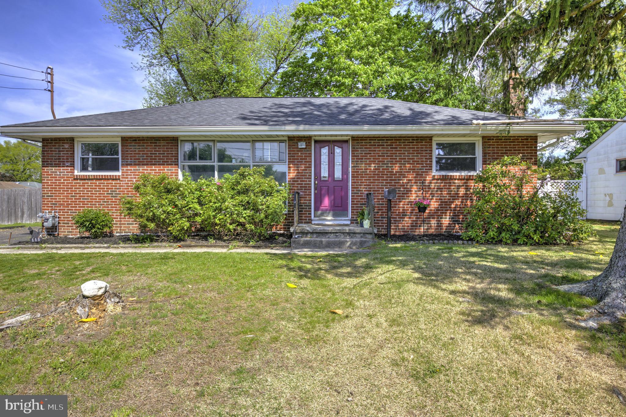 113 ELLIS AVENUE