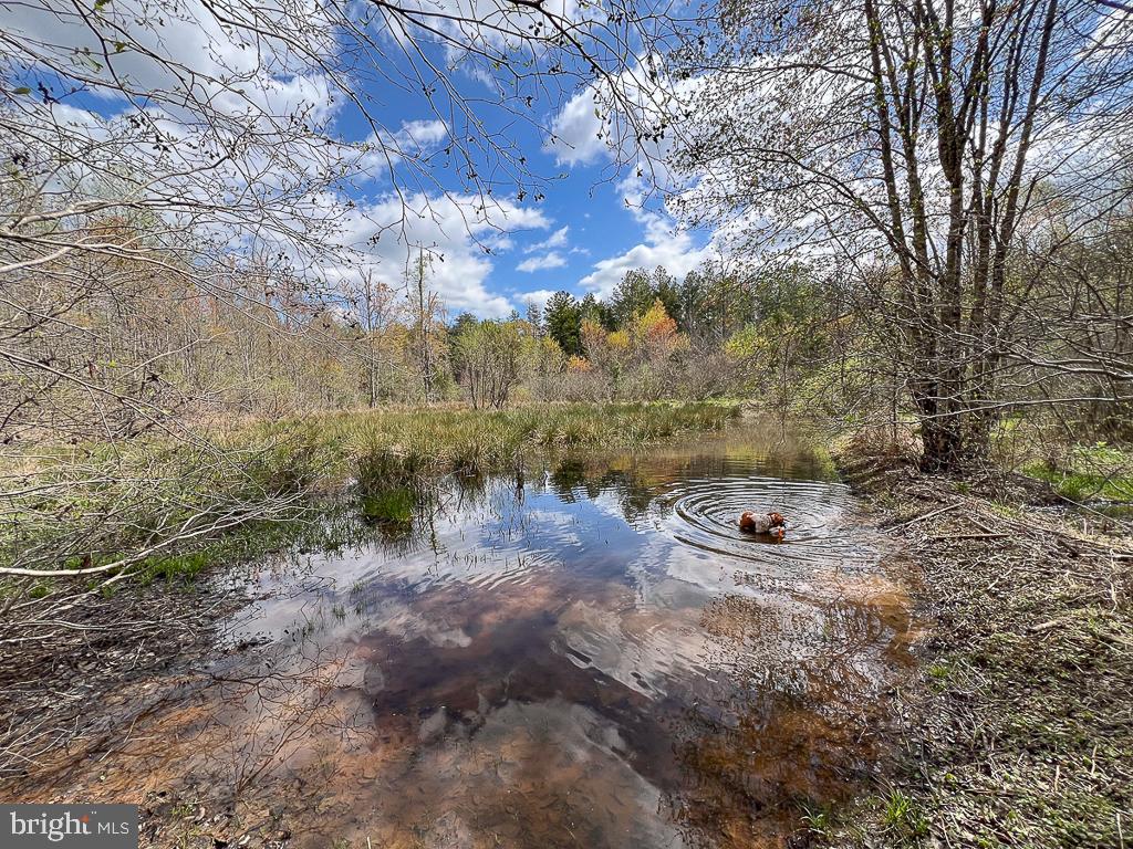 116.32 Acres GILLIAM MILL ROAD