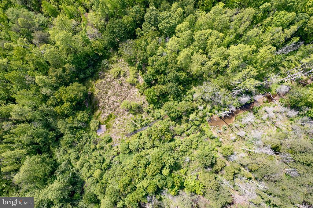116.32 Acres GILLIAM MILL ROAD