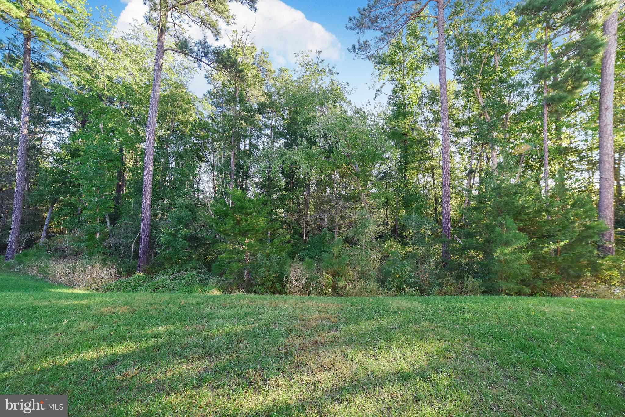 MAGNOLIA PARK AT WILDEWOOD - Residential