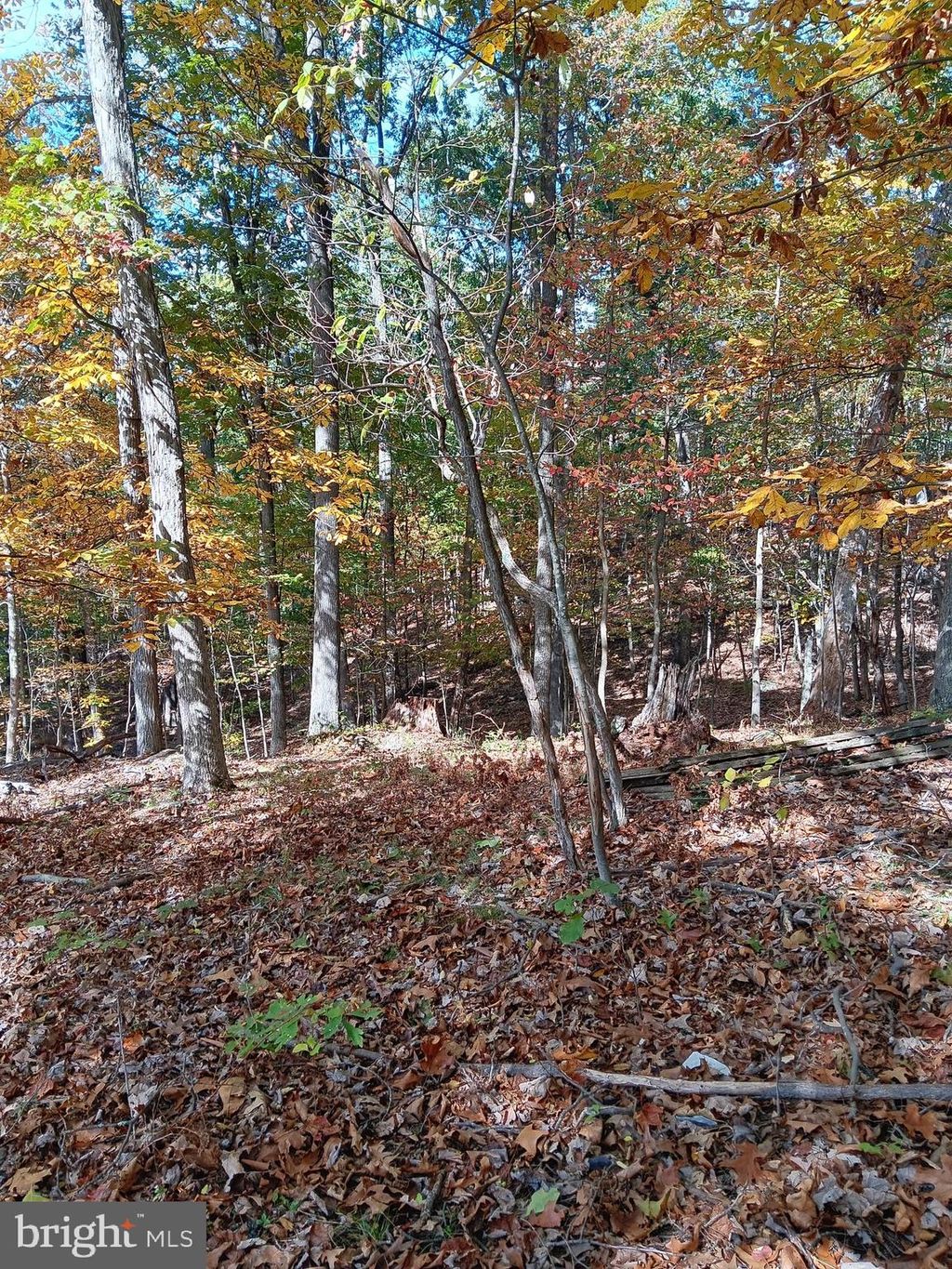 Photo of Petes Drive, CUMBERLAND, MD 21502 (MLS # MDAL2013152)