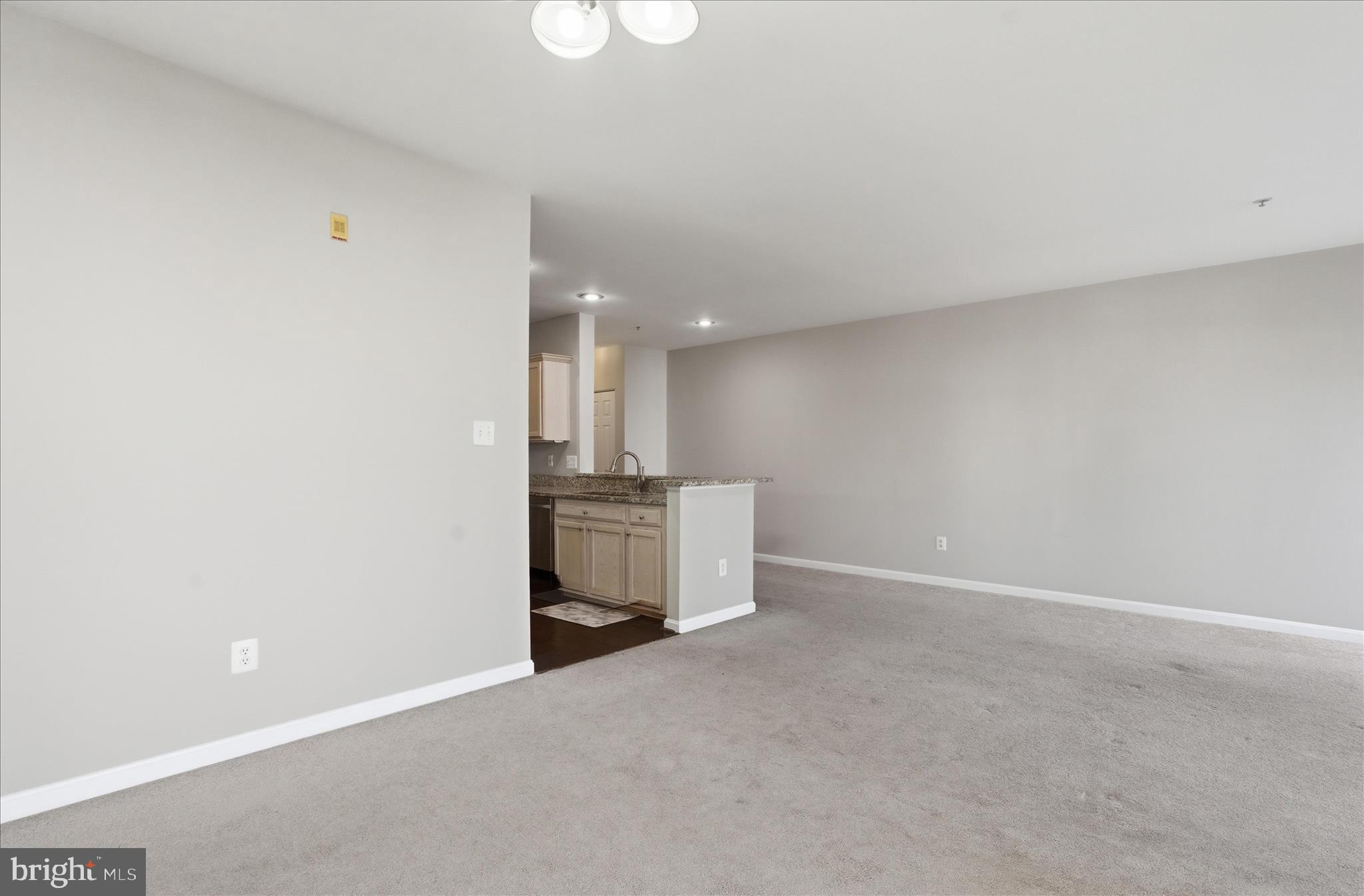 LAKESIDE AT SOUTH RIDING - Residential