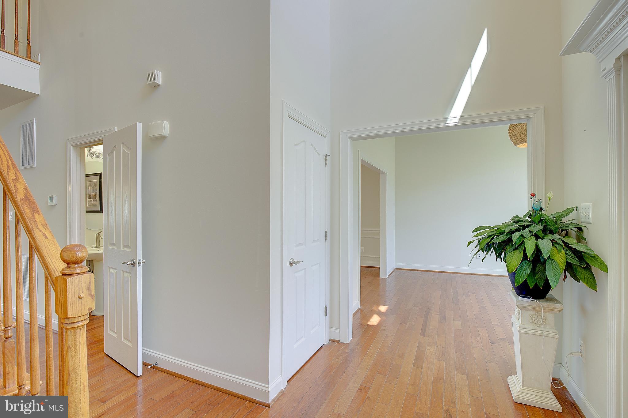 CHESAPEAKE VILLAGE - Residential