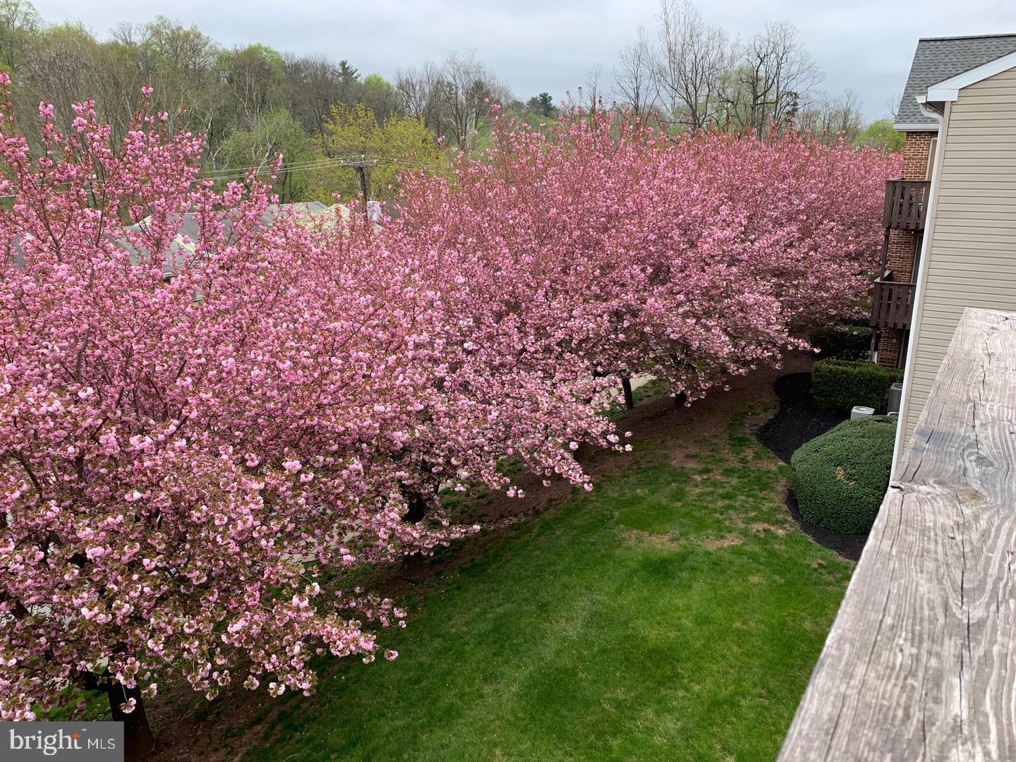 POTTSTOWN - Residential Lease