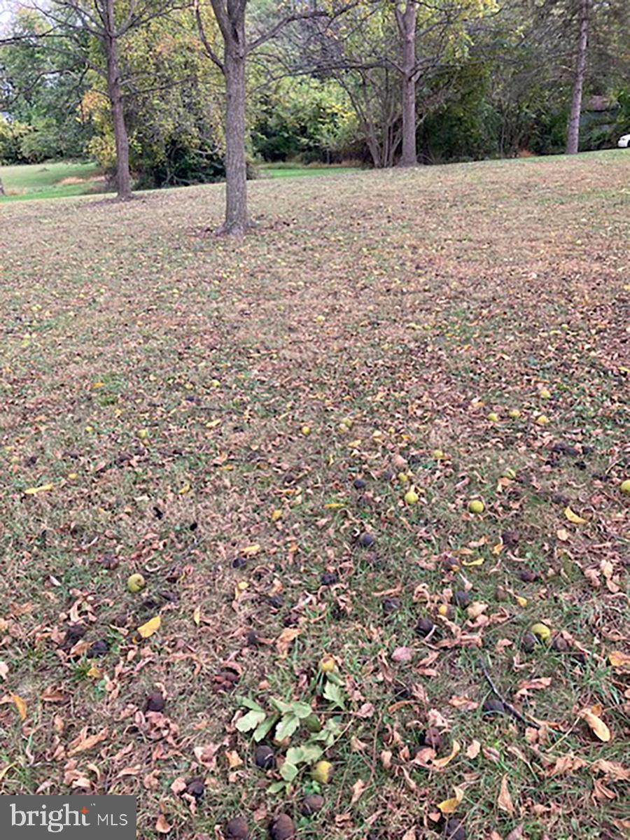 EDGEWOOD ROAD - Residential