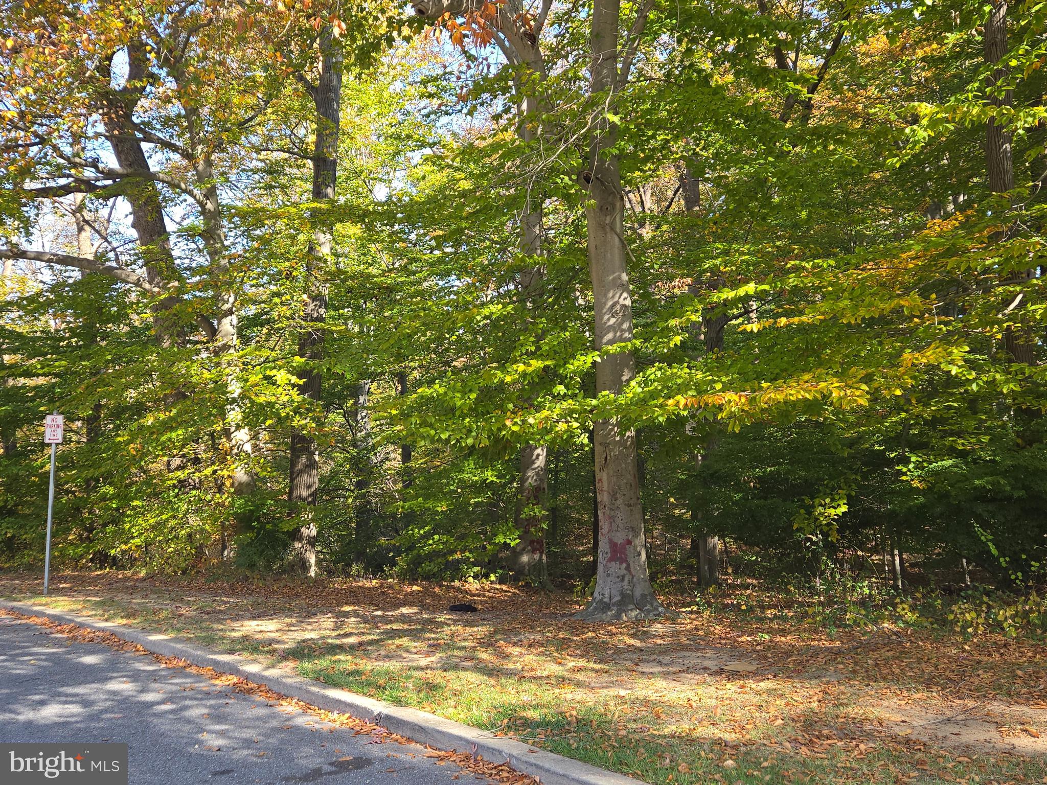 VILLAGE OF LONG REACH - Residential